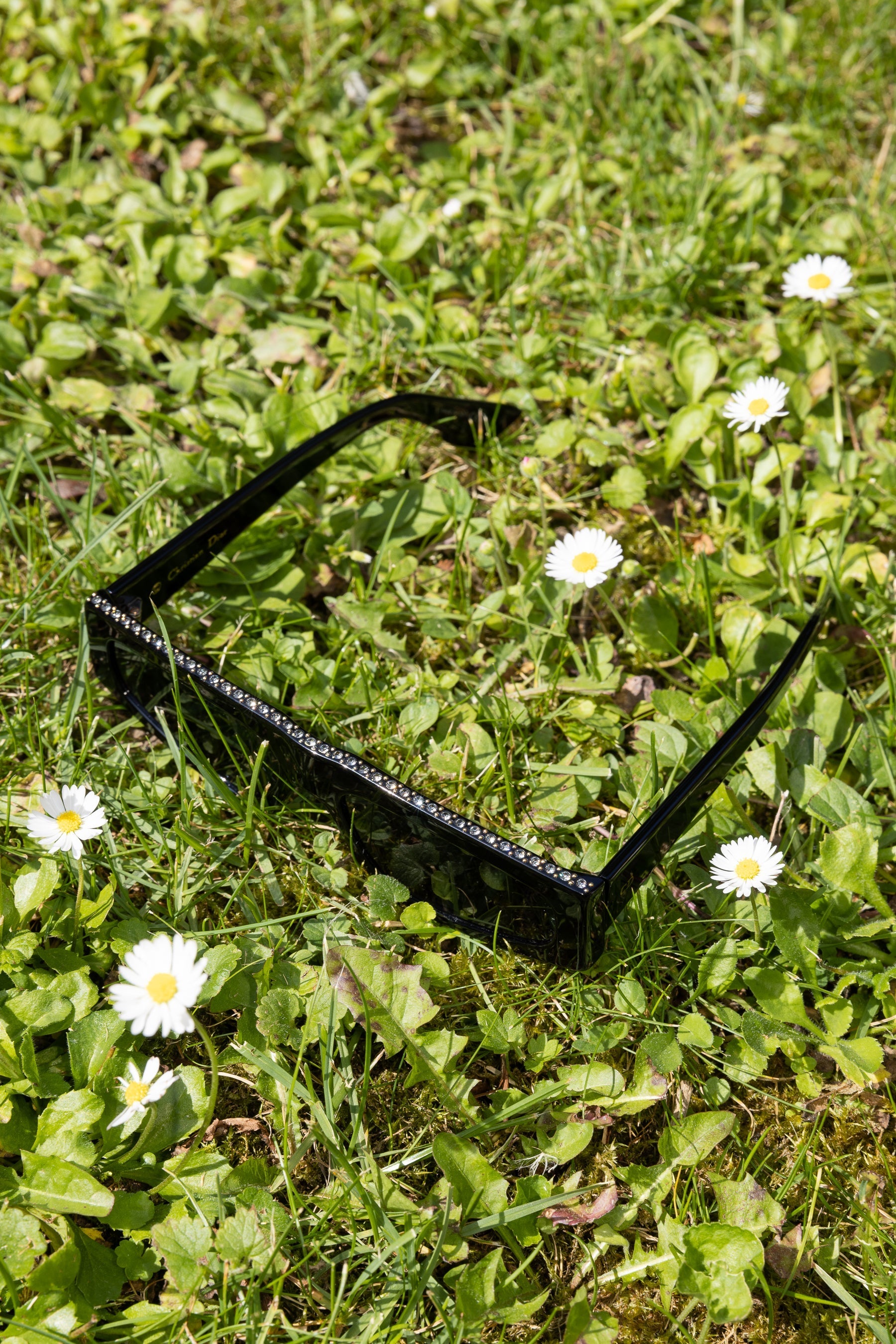 Dior Handbag Sunglasses Power