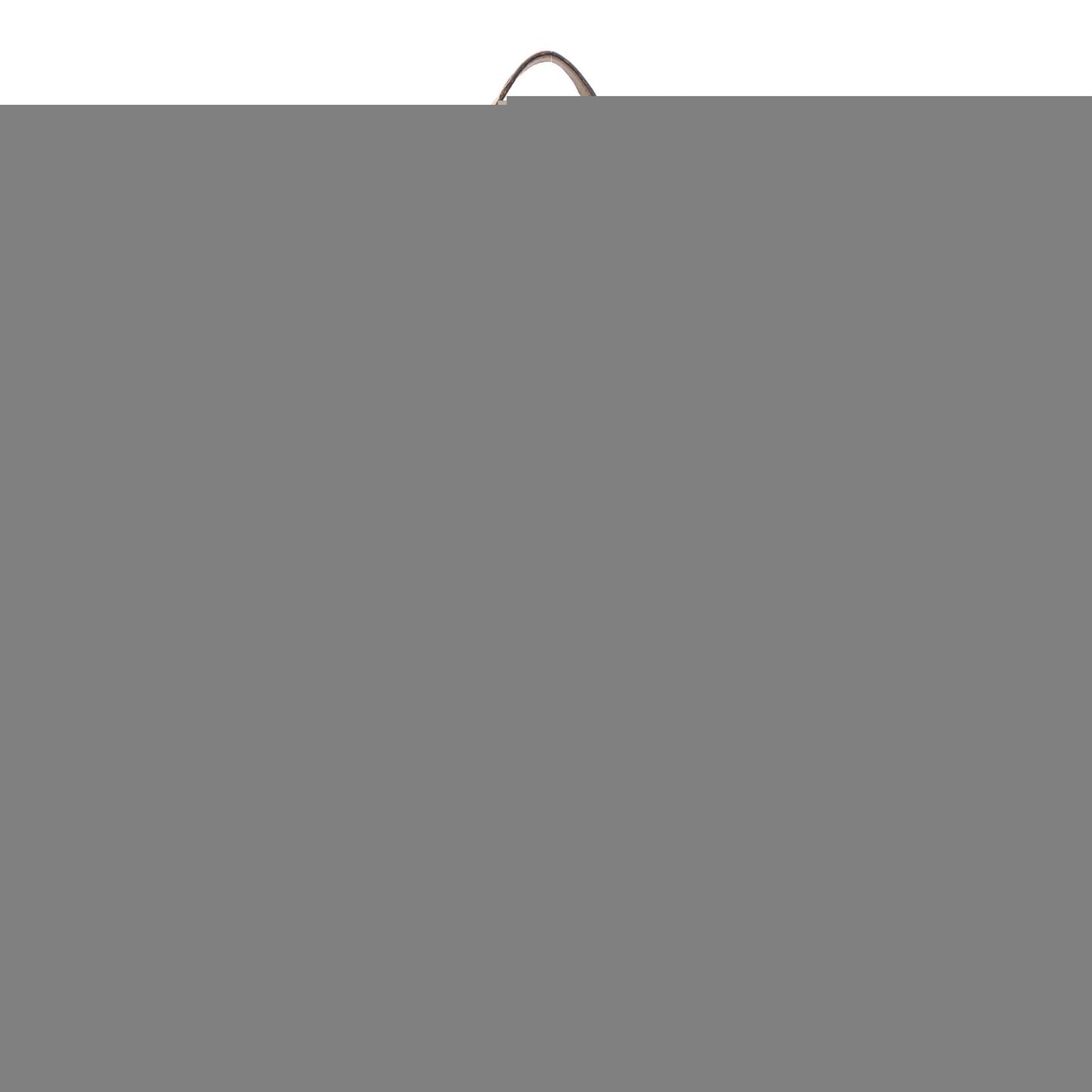 Gucci GG Web Jolie Canvas Brown Tote Bag