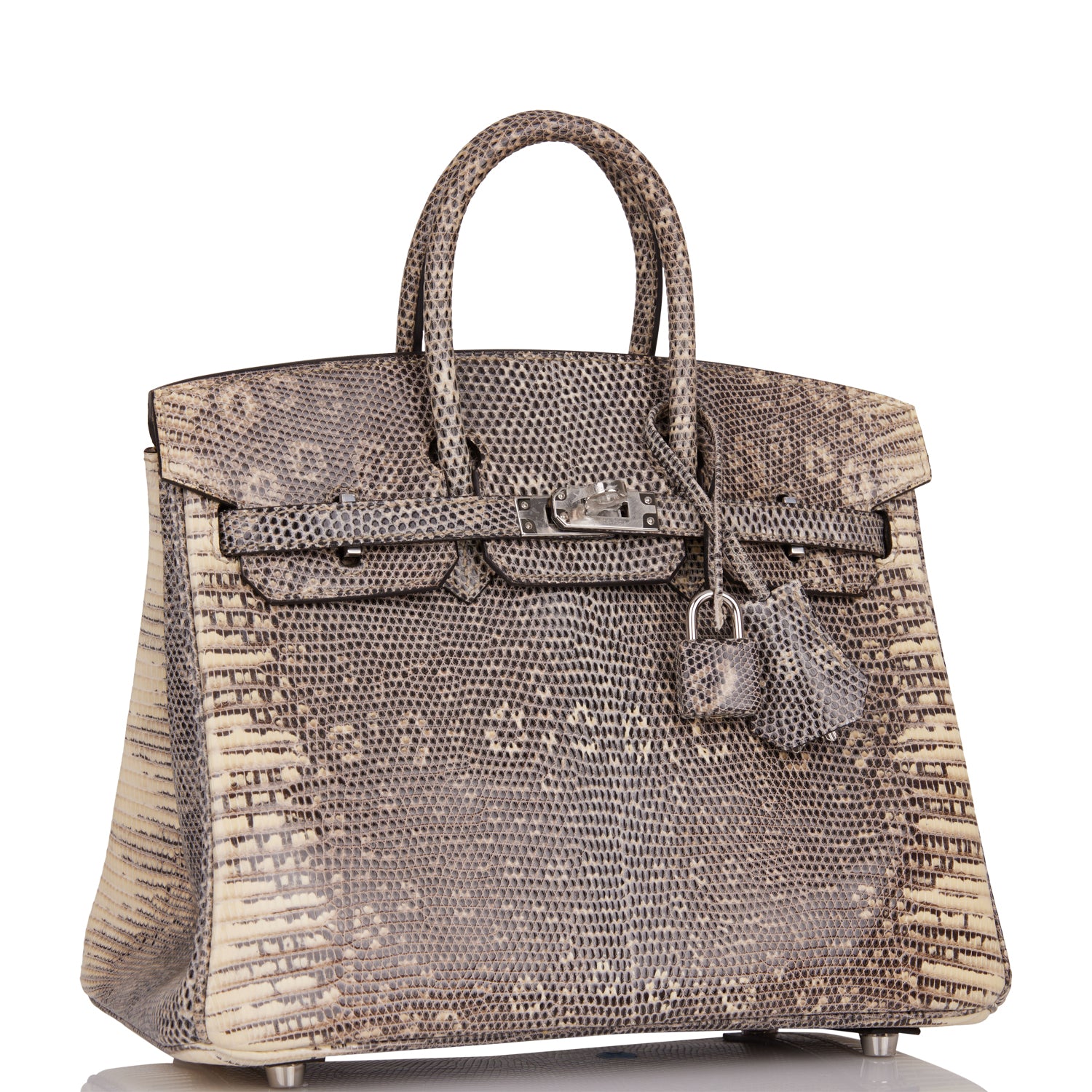 Hermes Birkin Ombre Shiny Salvator Lizard Palladium Hardware Travel Bag
