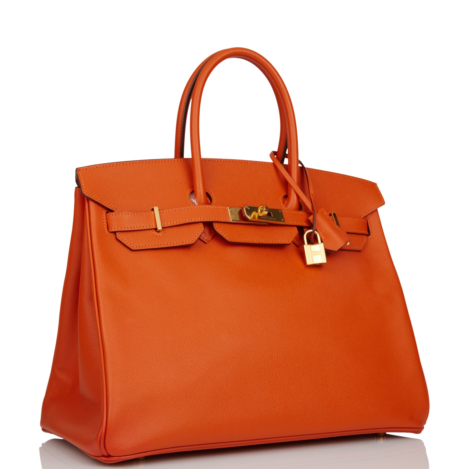 Hermes Birkin Mangue Epsom Hardware Handbag Gold Travel Bag Gold Hardware