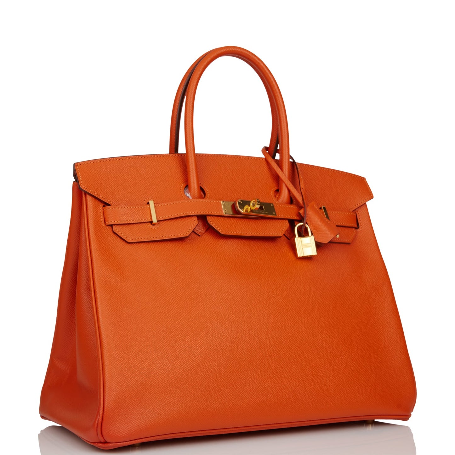 Hermes Birkin Mangue Epsom Hardware Handbag Gold Travel Bag Gold Hardware 2