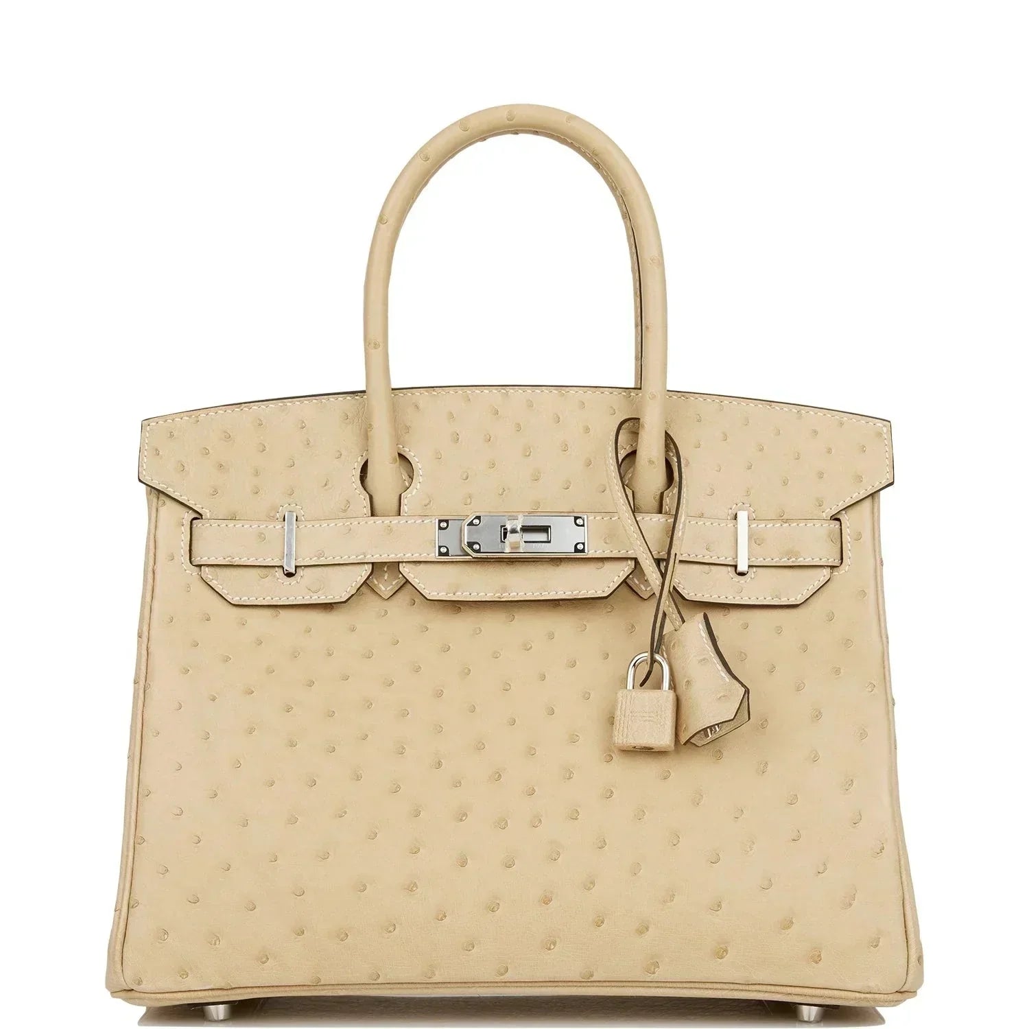 Hermes Birkin Trench Ostrich Palladium Hardware Handbag Travel Bag