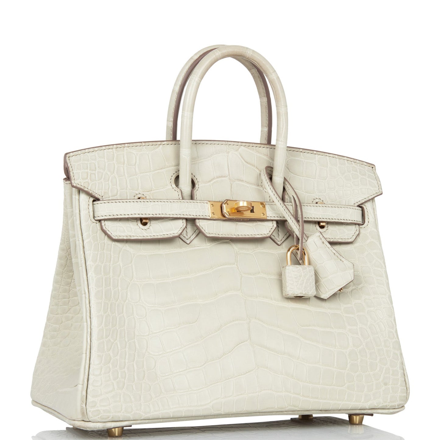 Hermes Birkin Beton Matte Alligator Hardware Handbag Gold Travel Bag