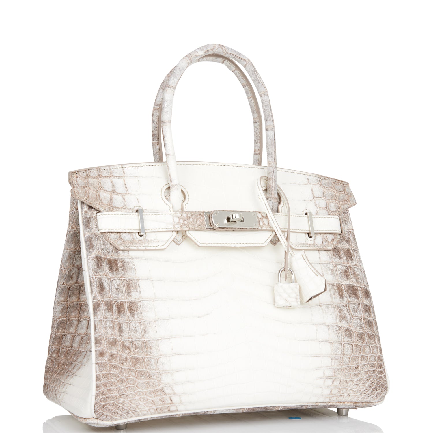 Hermes Birkin Himalaya Niloticus Crocodile Palladium Hardware Handbag Travel Bag Hardware 2