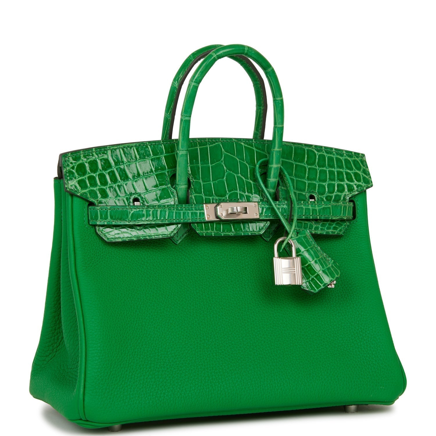 Hermes Birkin Bambou Shiny Crocodile And Togo Touch Travel Bag