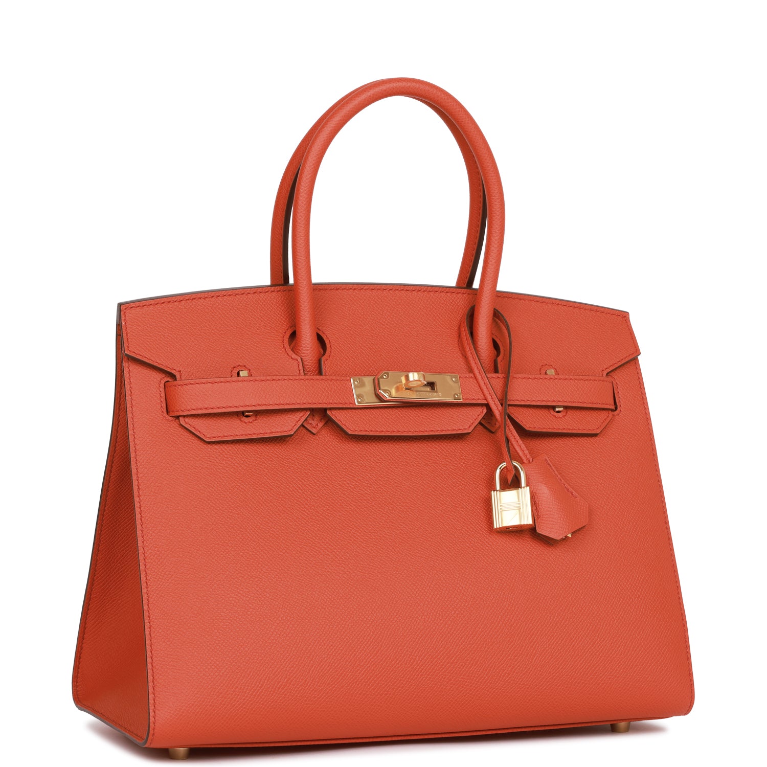 Hermes Birkin Sellier Terre Battue Epsom Hardware Handbag Gold Travel Bag