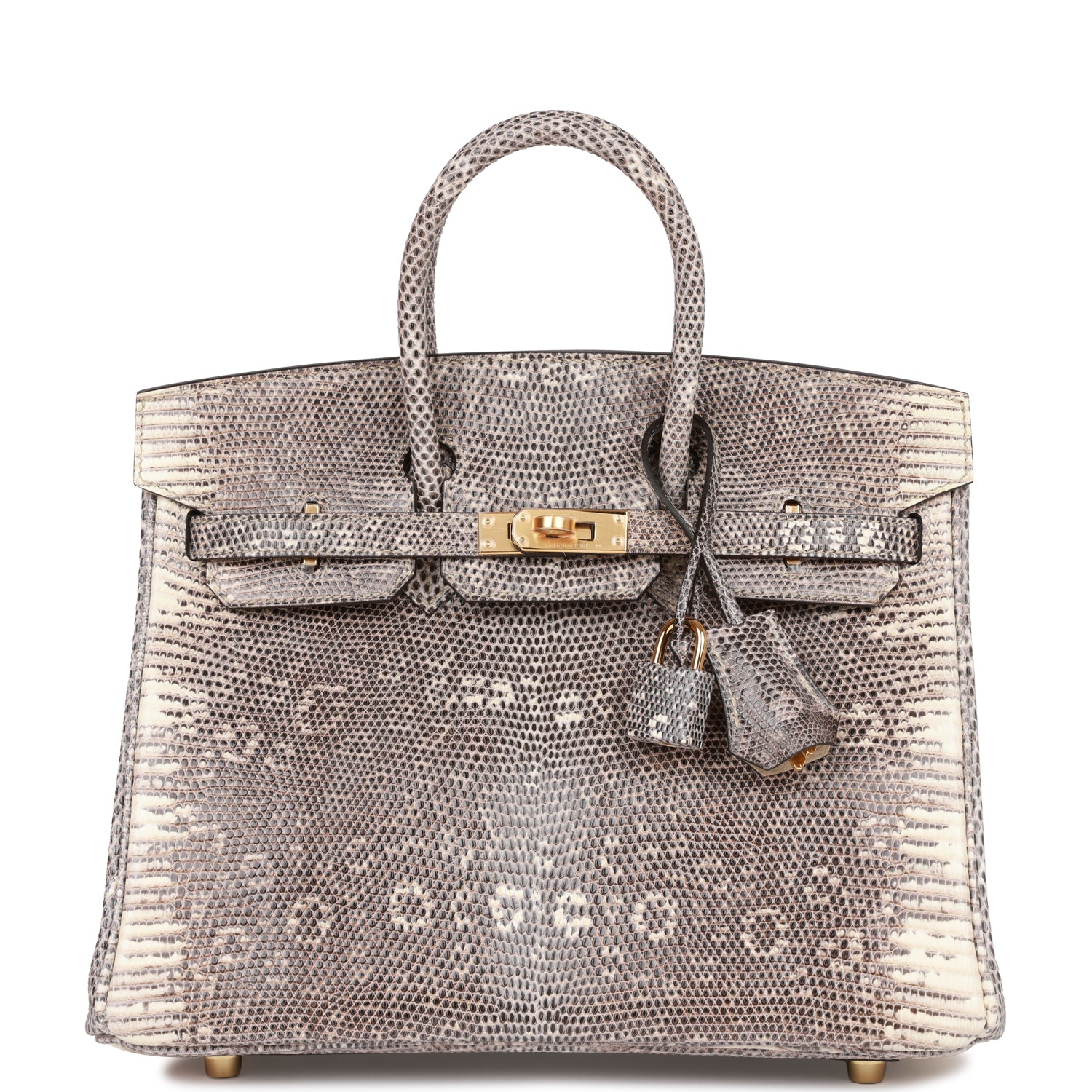 Hermes Birkin Ombre Shiny Salvator Lizard Hardware Handbag Gold Travel Bag