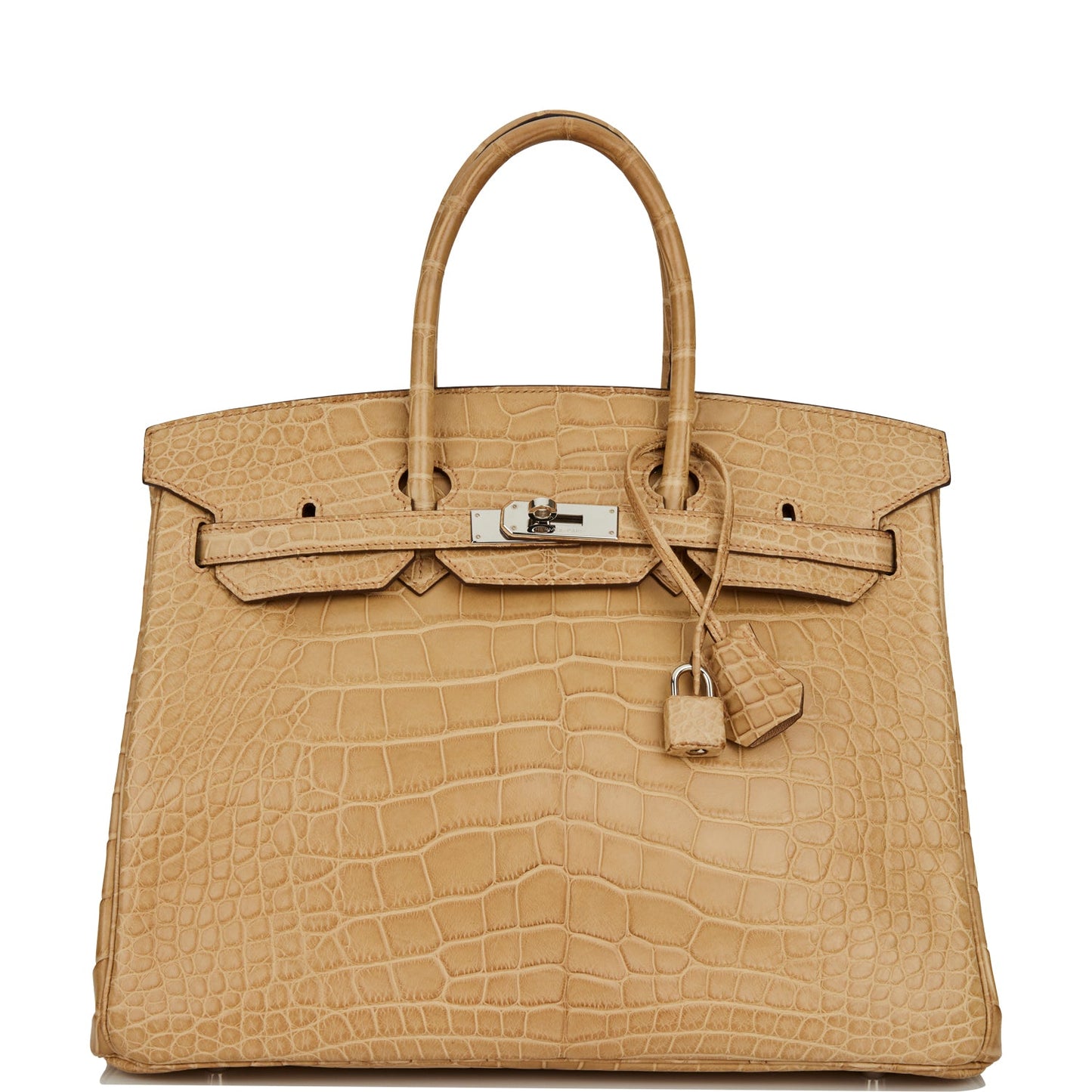 Hermes Birkin Poussiere Matte Alligator Palladium Hardware Handbag Travel Bag