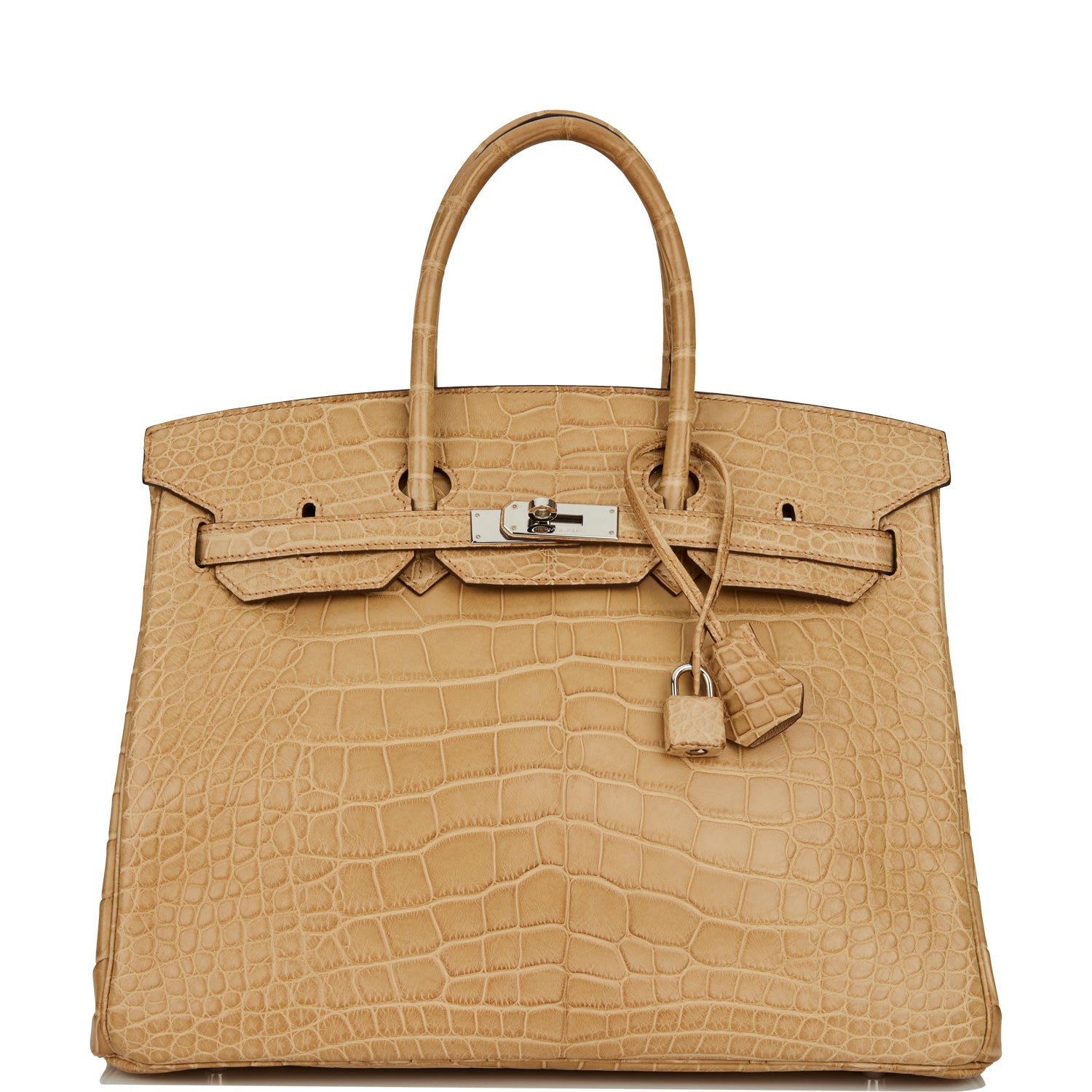 Hermes Birkin Poussiere Matte Alligator Palladium Hardware Handbag Travel Bag