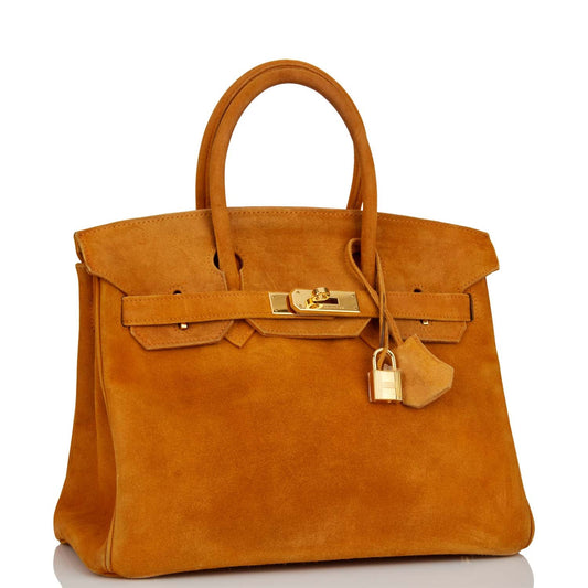 Hermes Birkin Potiron Doblis Hardware Handbag Gold Travel Bag