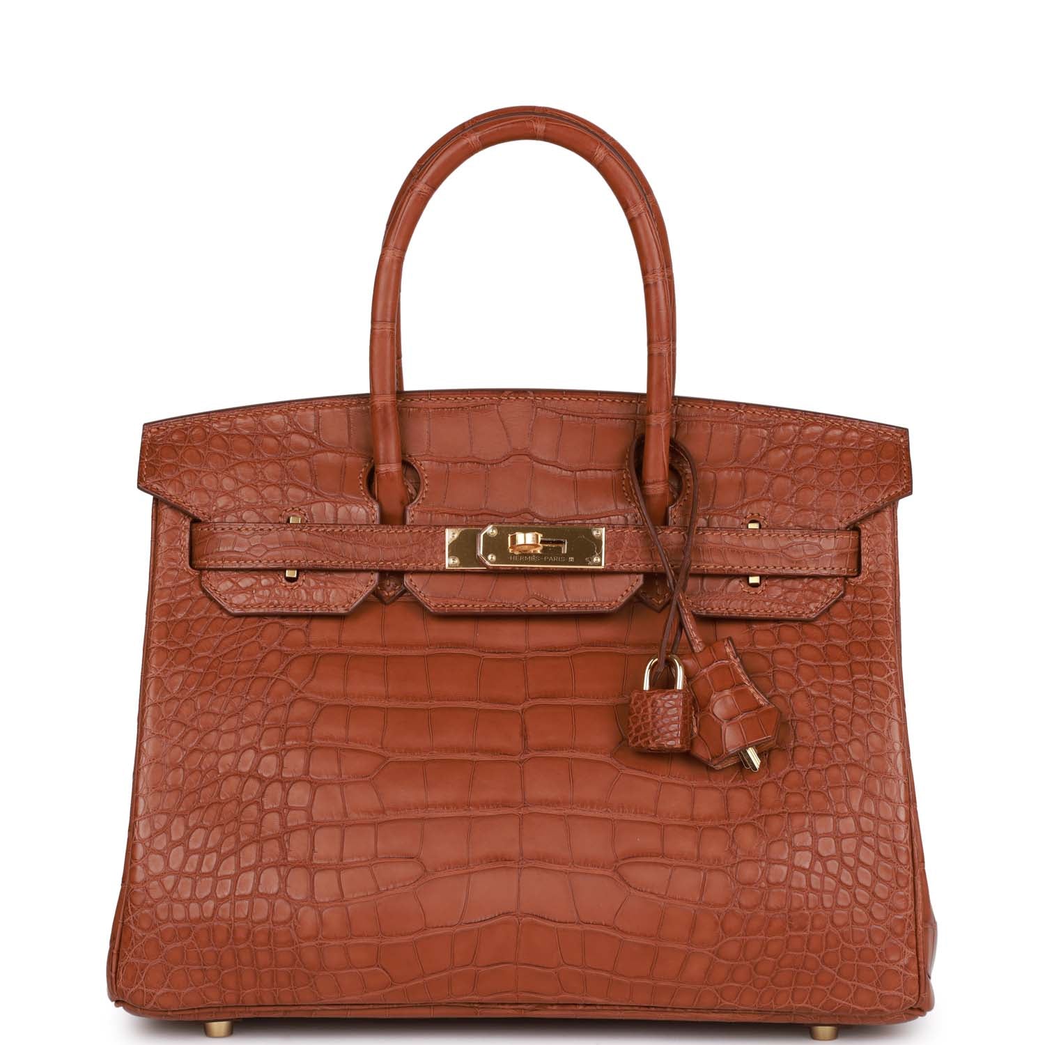 Hermes Birkin Matte Alligator Hardware Handbag Gold Travel Bag