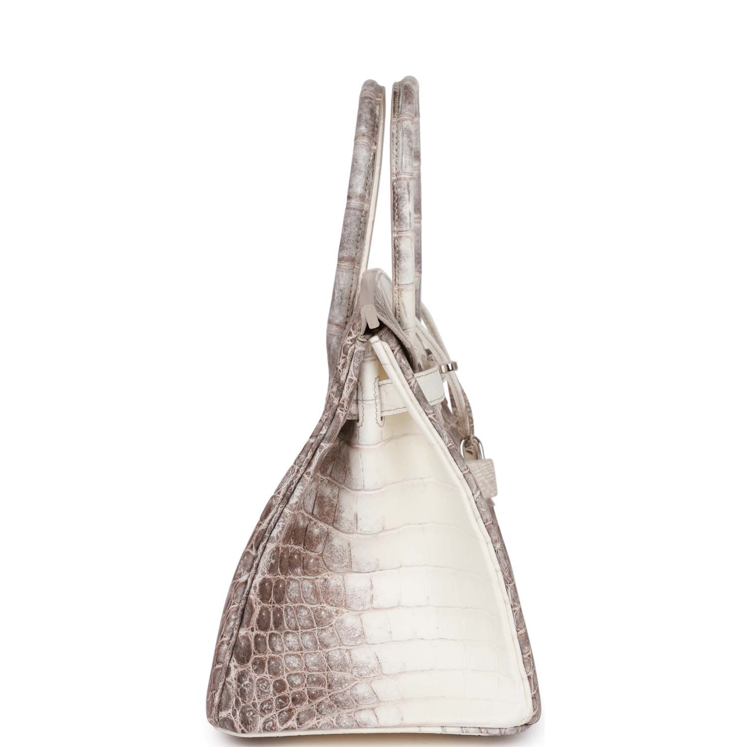 Hermes Birkin Himalaya Niloticus Crocodile Palladium Hardware Handbag Travel Bag Hardware 3