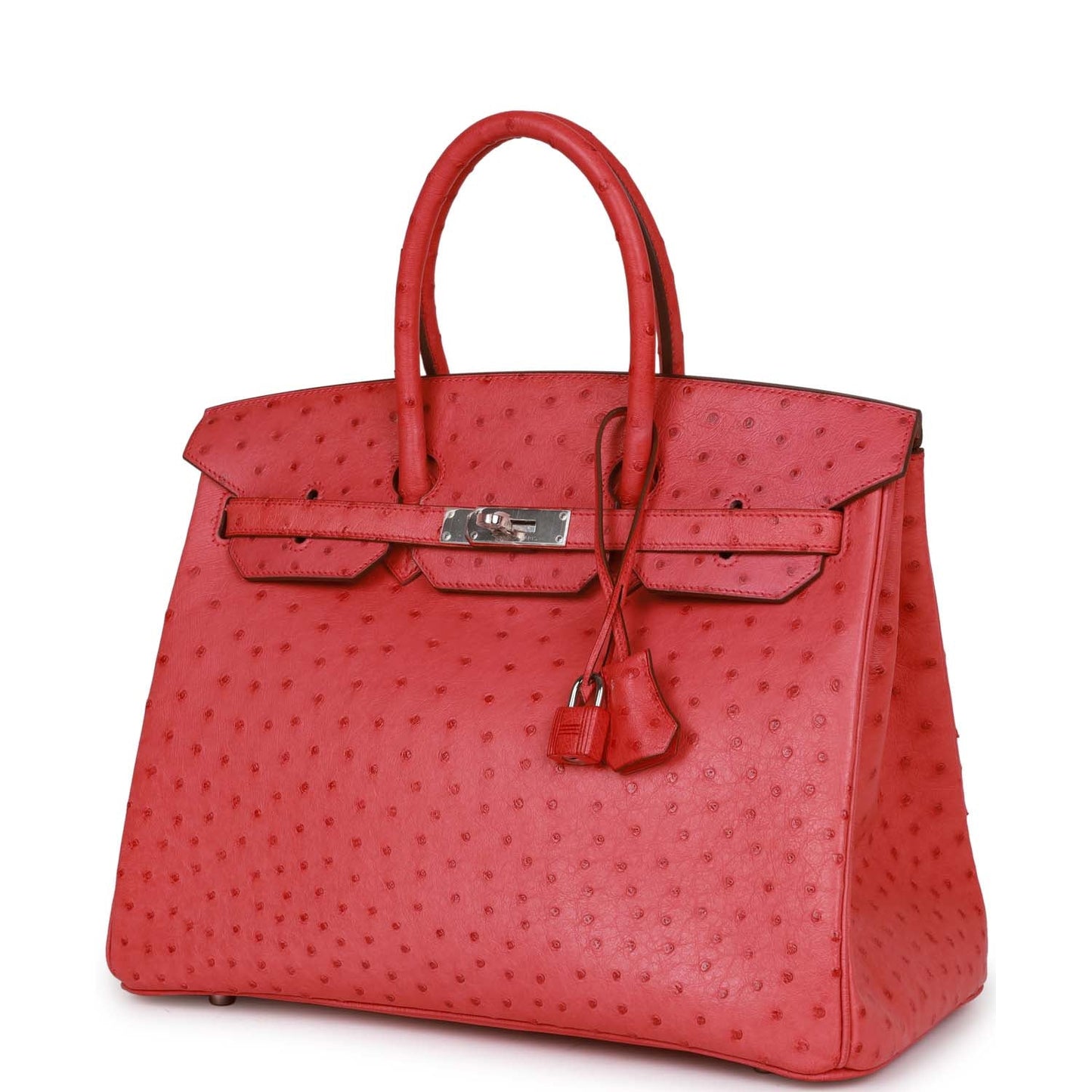Hermes Birkin Bougainvillea Ostrich Palladium Hardware Handbag Travel Bag