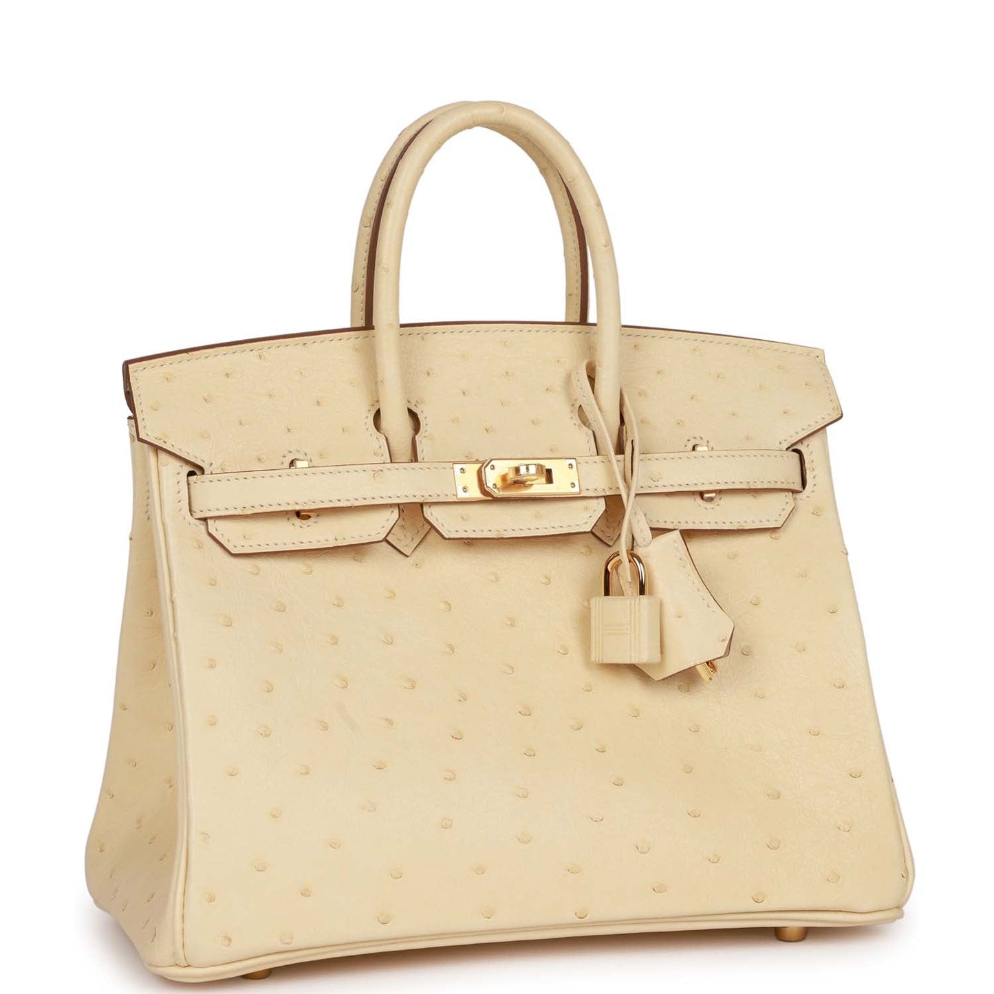 Hermes Birkin Vanille Ostrich Boreal Hardware Handbag Gold Travel Bag