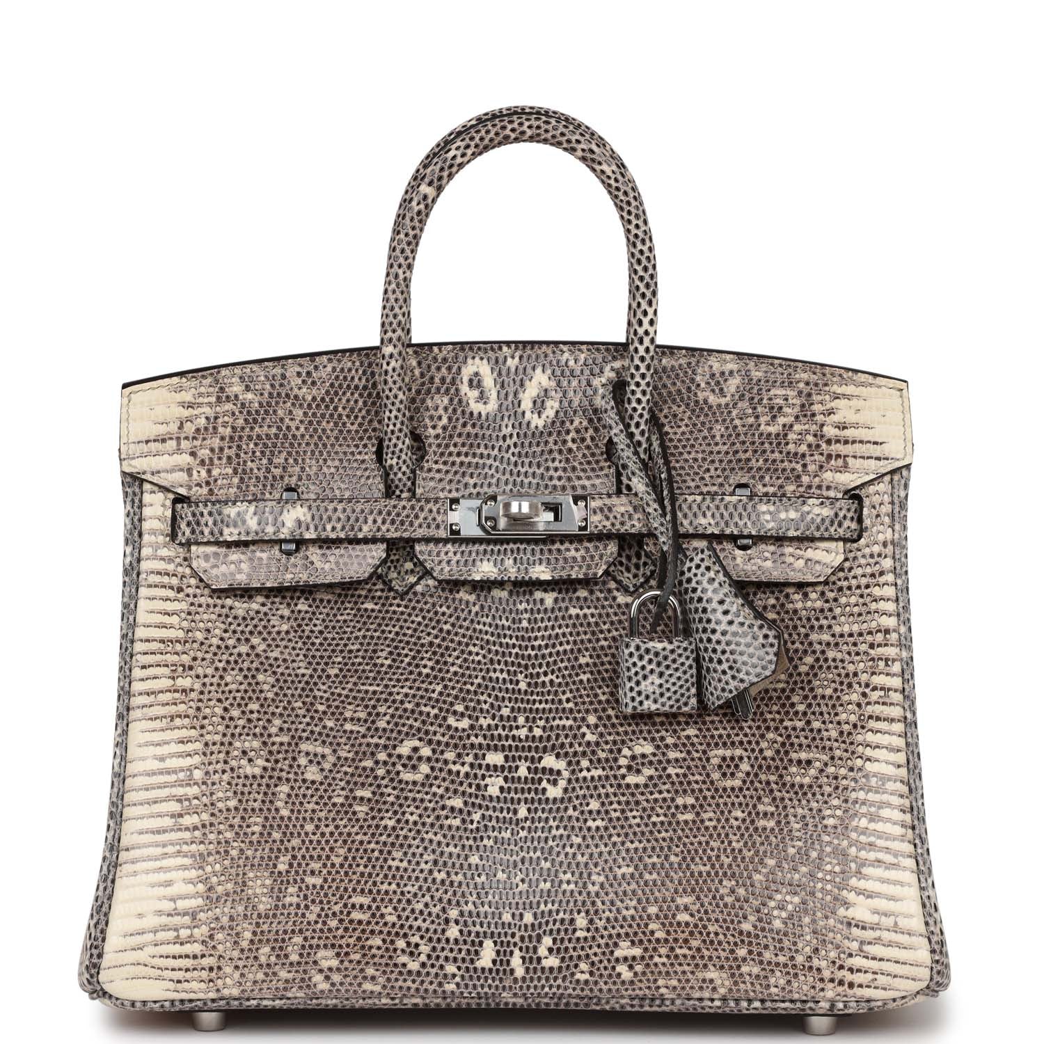 Hermes Birkin Ombre Shiny Salvator Lizard Palladium Hardware Handbag Travel Bag