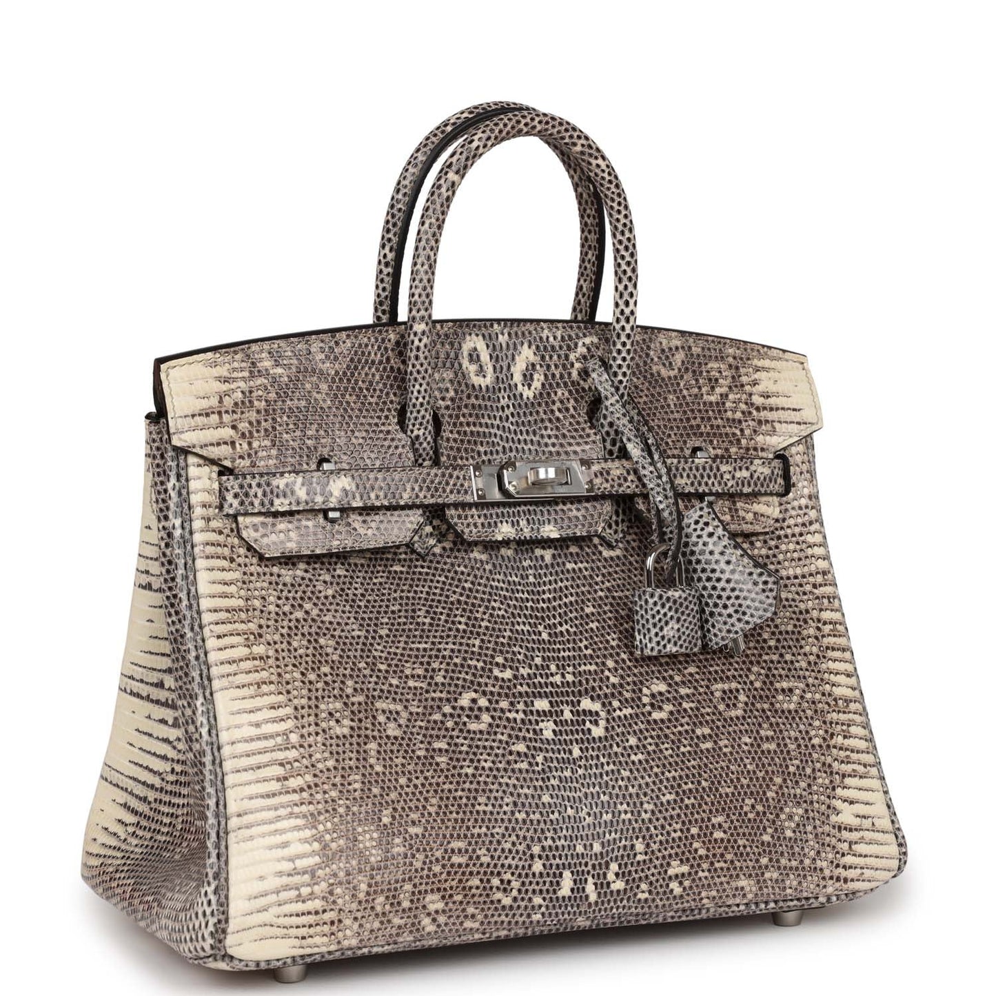 Hermes Birkin Ombre Shiny Salvator Lizard Palladium Hardware Handbag Travel Bag