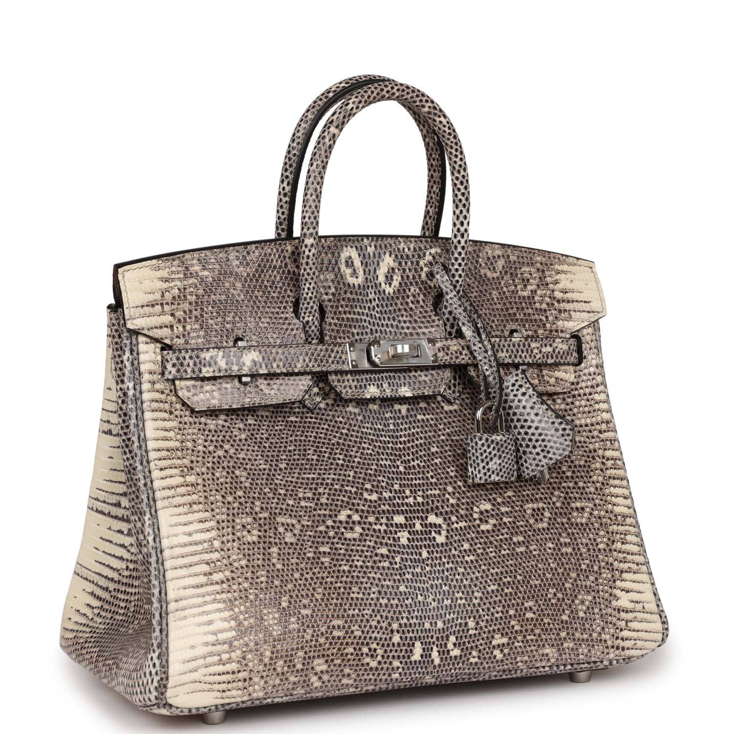 Hermes Birkin Ombre Shiny Salvator Lizard Palladium Hardware Handbag Travel Bag