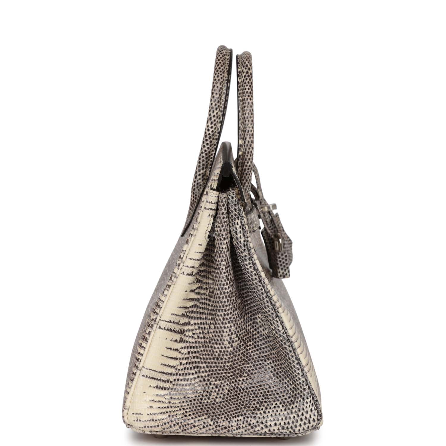 Hermes Birkin Ombre Shiny Salvator Lizard Palladium Hardware Handbag Travel Bag