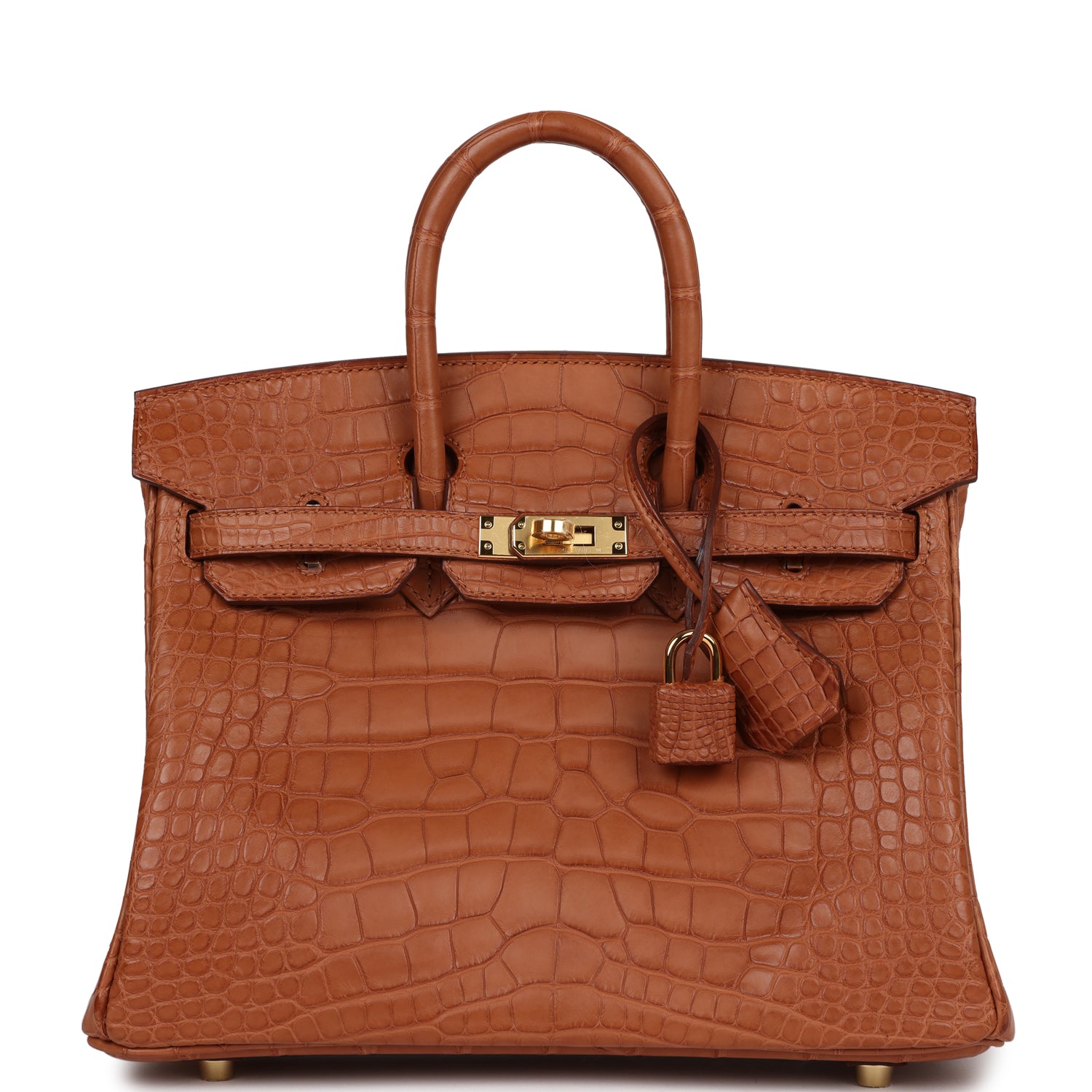 Hermes Birkin Matte Alligator Hardware Handbag Gold Travel Bag