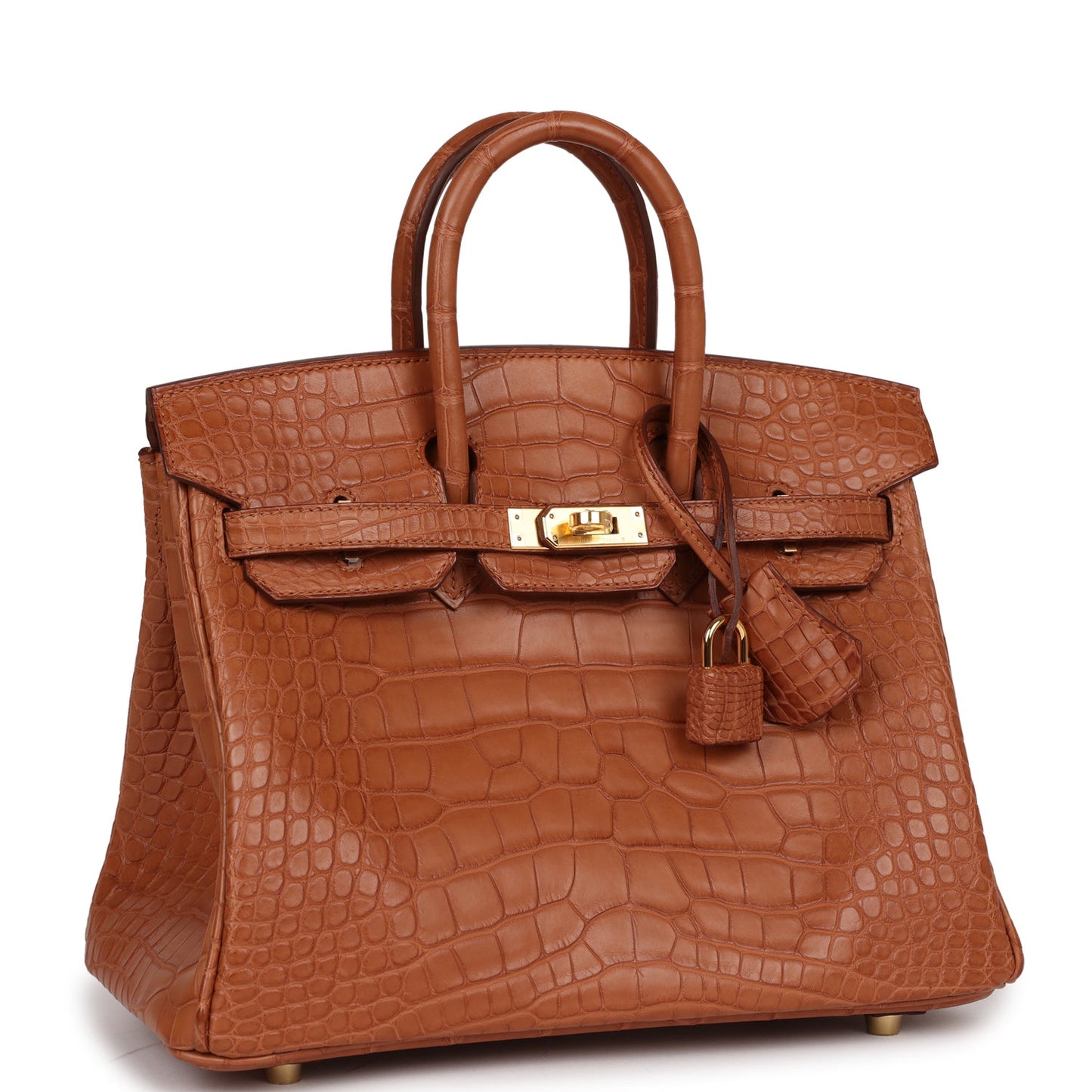 Hermes Birkin Matte Alligator Hardware Handbag Gold Travel Bag