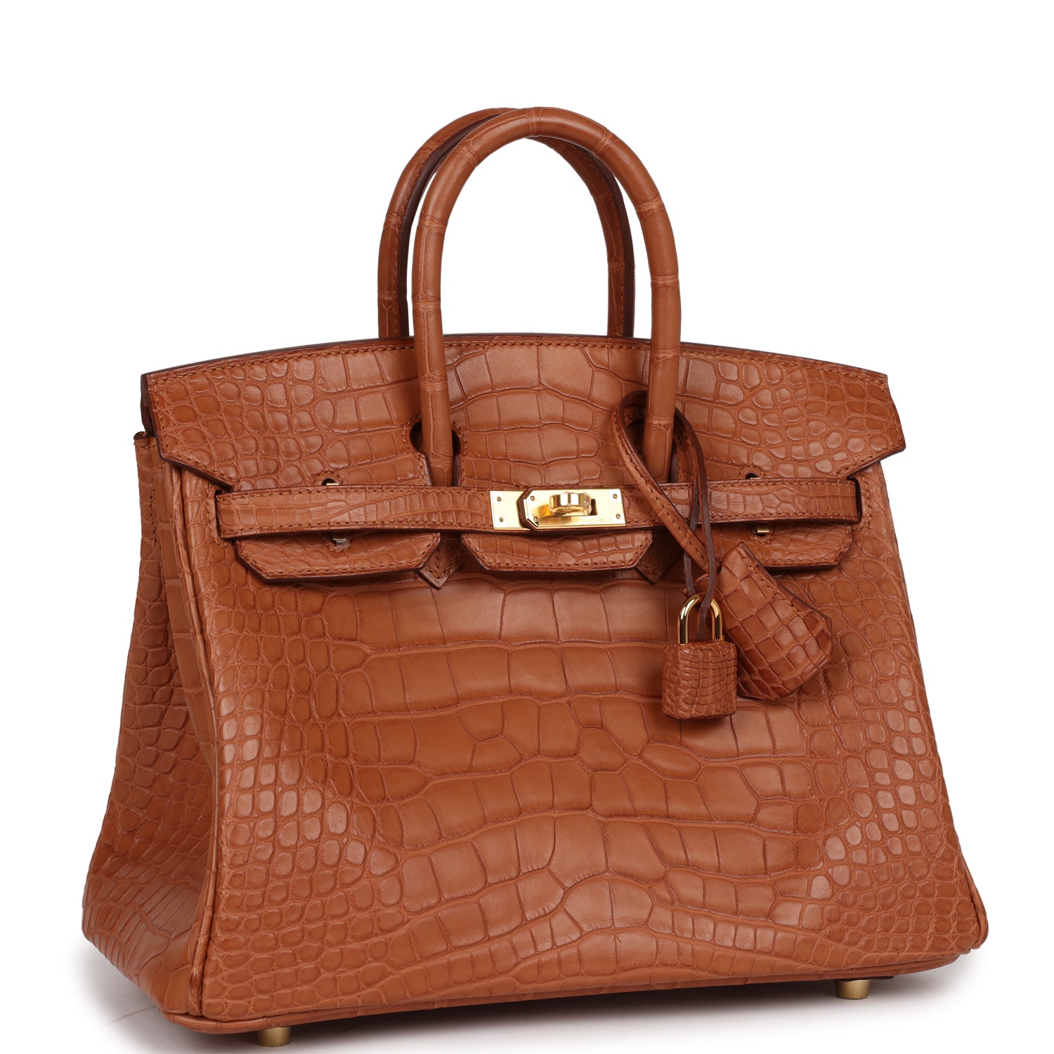 Hermes Birkin Matte Alligator Hardware Handbag Gold Travel Bag