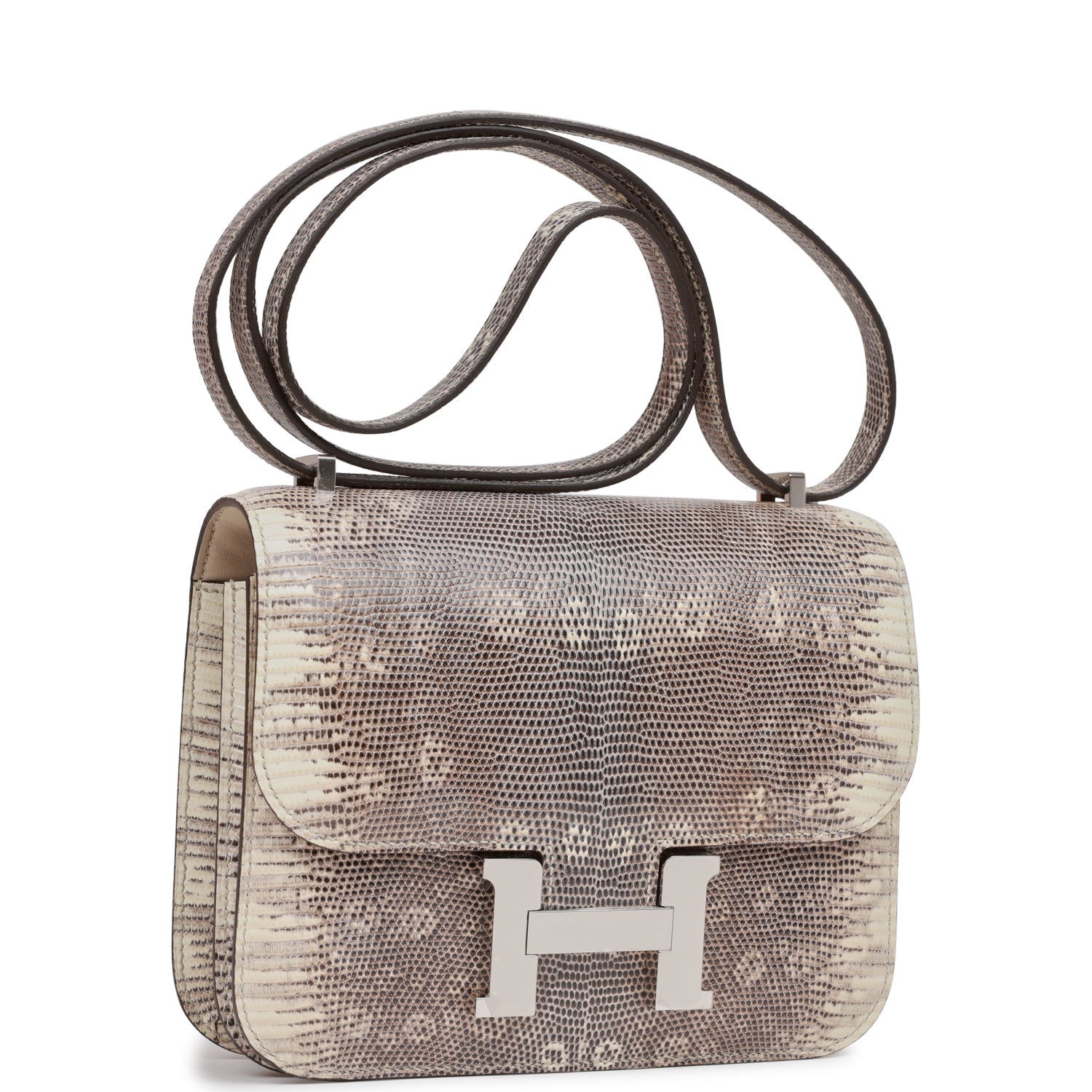 Hermes Constance Ombre Lizard Varanus Palladium Hardware Handbag Mini Travel Bag Palladium Hardware
