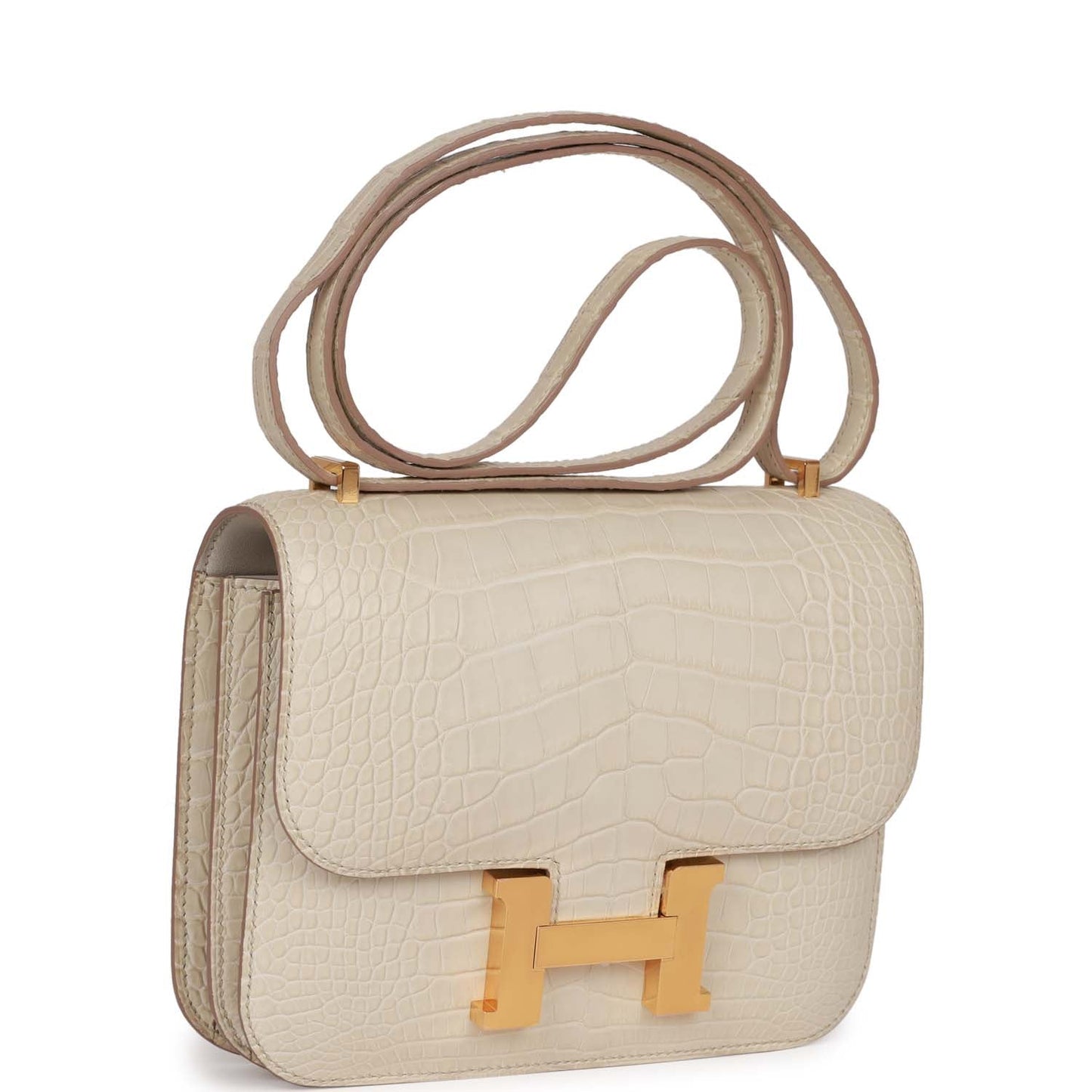 Hermes Constance Beton Matte Alligator Mississippiensis Hardware Handbag Gold Travel Bag