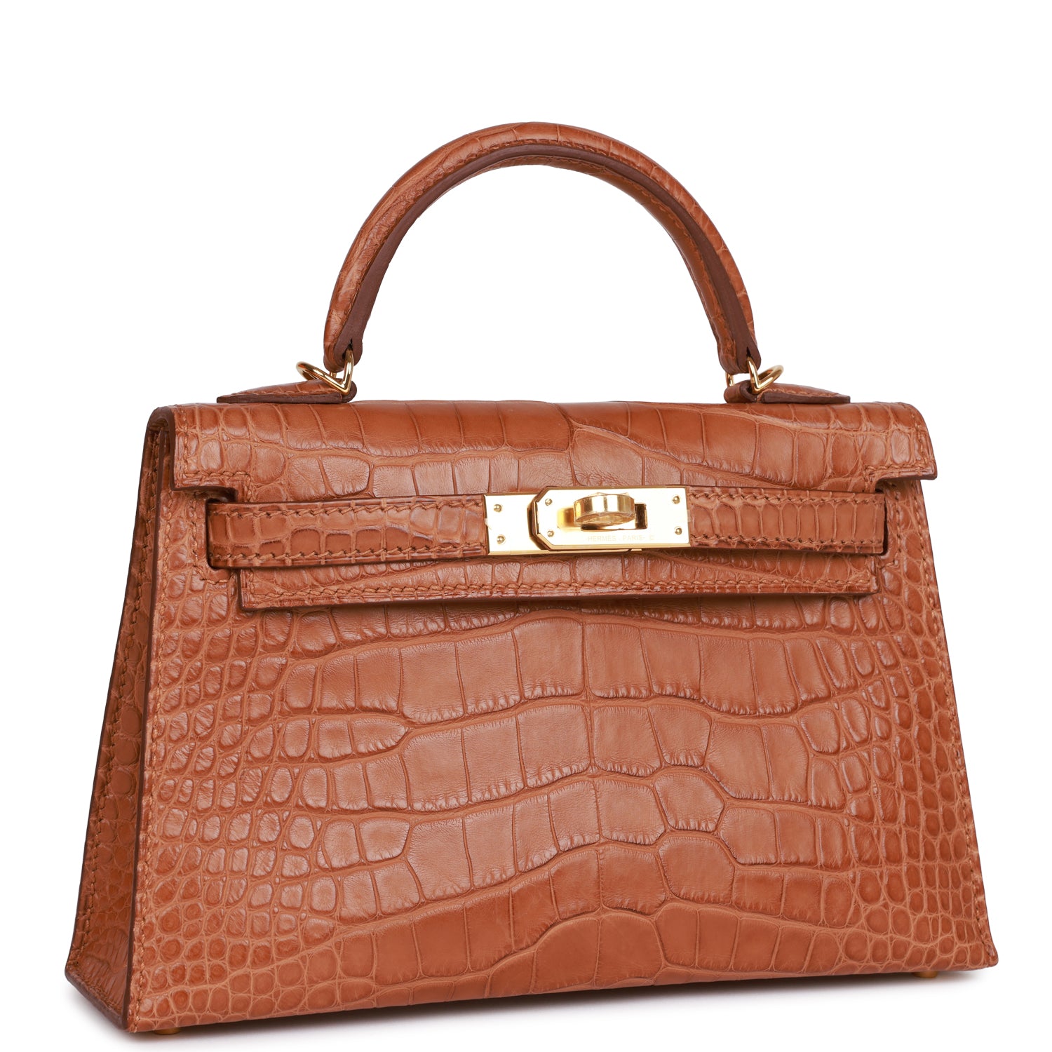 Hermes Kelly Sellier Matte Alligator Hardware Handbag Gold Travel Bag