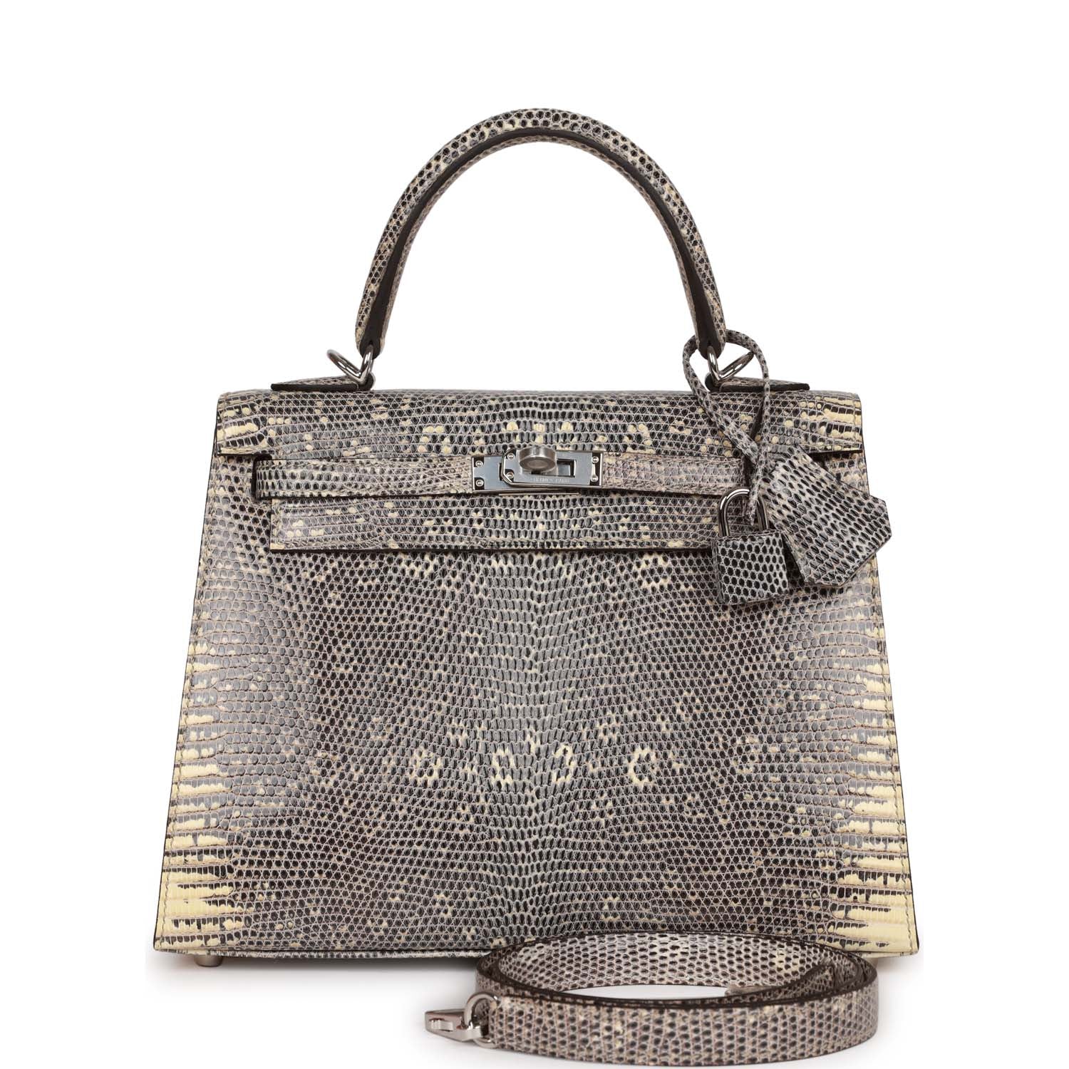 Hermes Kelly Sellier Ombre Veranus Salvator Lizard Palladium Travel Bag