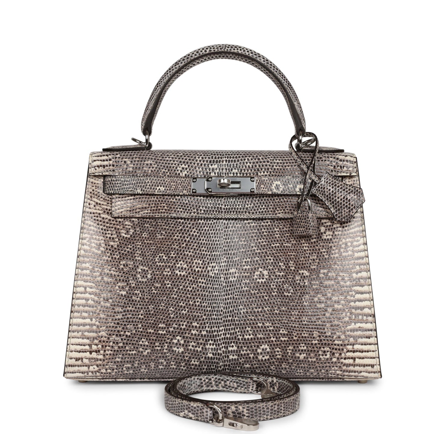 Hermes Kelly Sellier Ombre Veranus Salvator Lizard Palladium Hardware Travel Bag