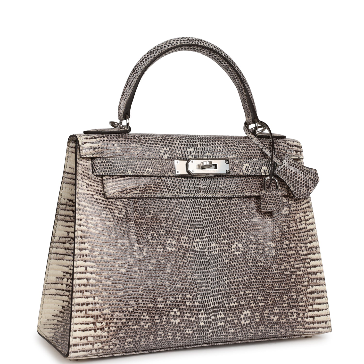 Hermes Kelly Sellier Ombre Veranus Salvator Lizard Palladium Hardware Travel Bag