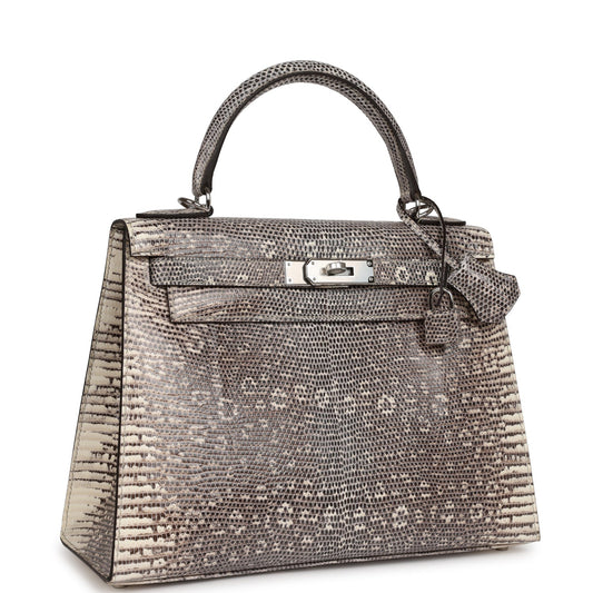 Hermes Kelly Sellier Ombre Veranus Salvator Lizard Palladium Hardware Travel Bag