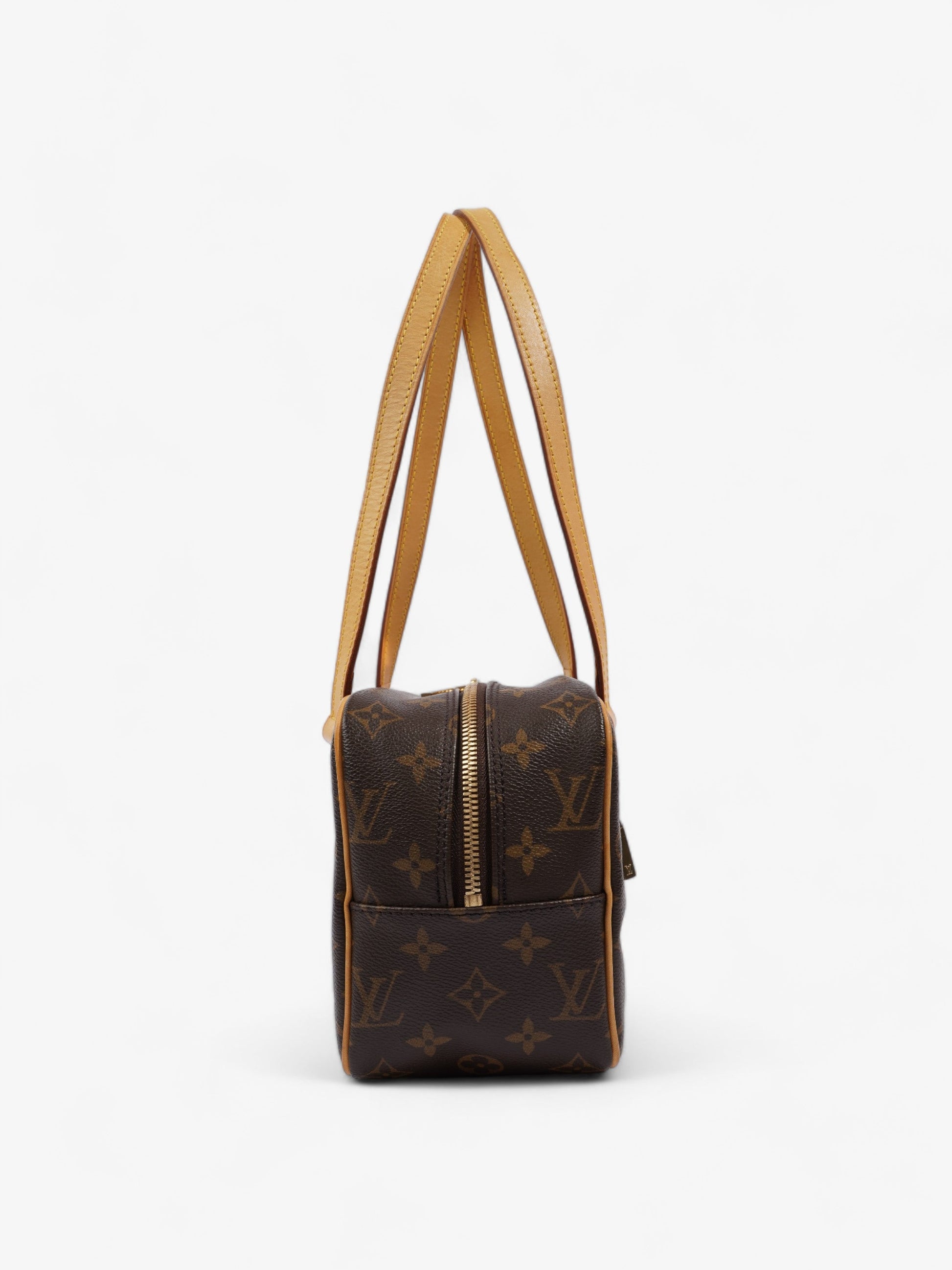Louis Vuitton Cite GM Coated Monogram Canvas Coated Canvas Apparel