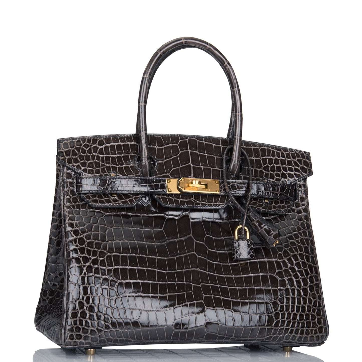 Hermes Birkin Graphite Shiny Porosus Crocodile Hardware Handbag Gold Travel Bag Gold Hardware