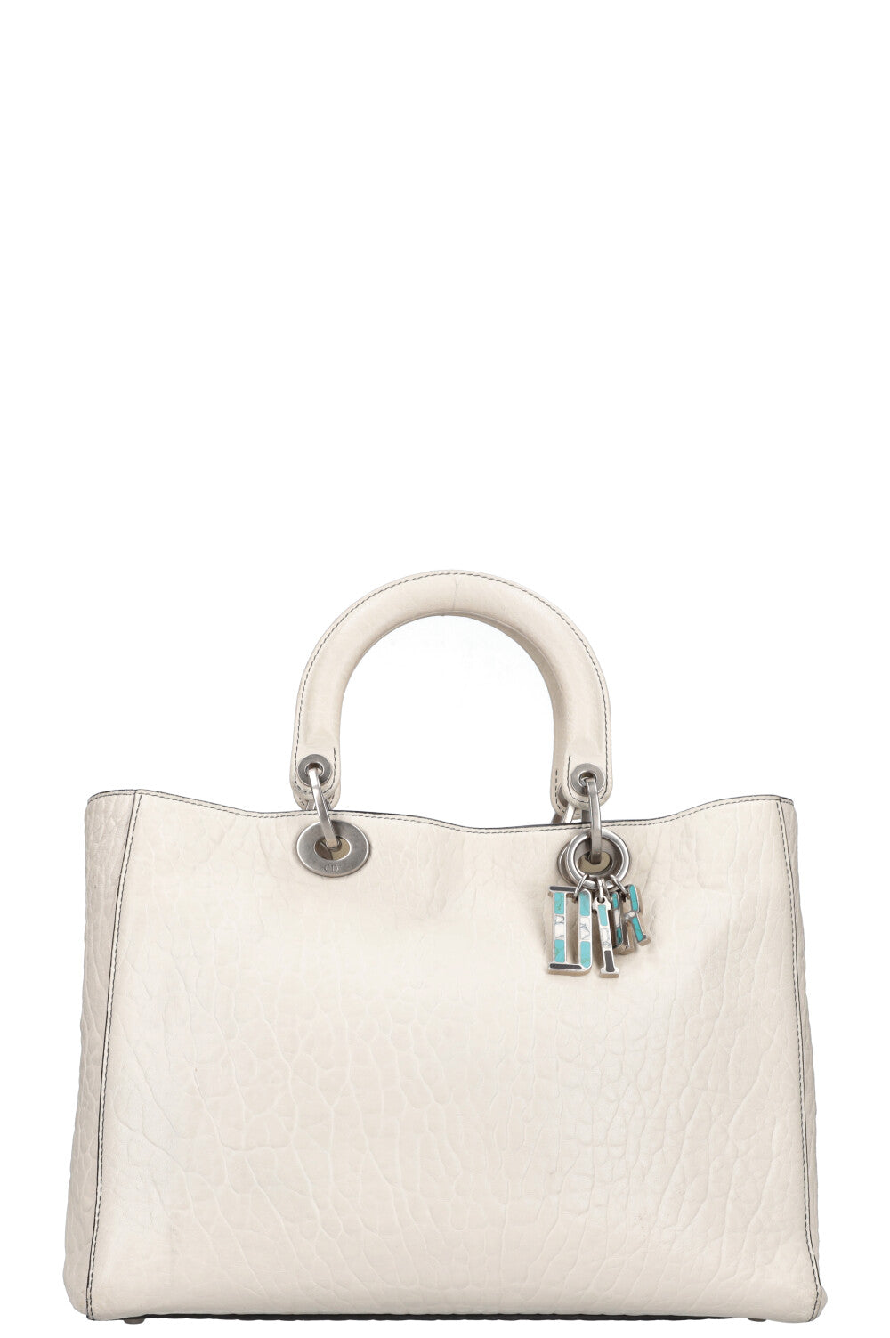 Dior Handbag Lady Canyon Bag