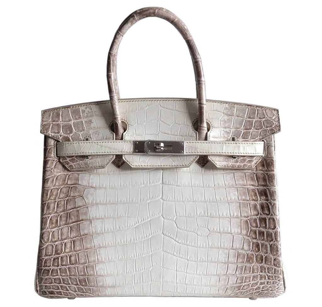 Hermes Birkin Himalayan Niloticus Crocodile Bag Travel Bag
