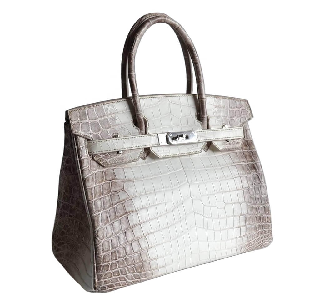 Hermes Birkin Himalayan Niloticus Crocodile Bag Travel Bag