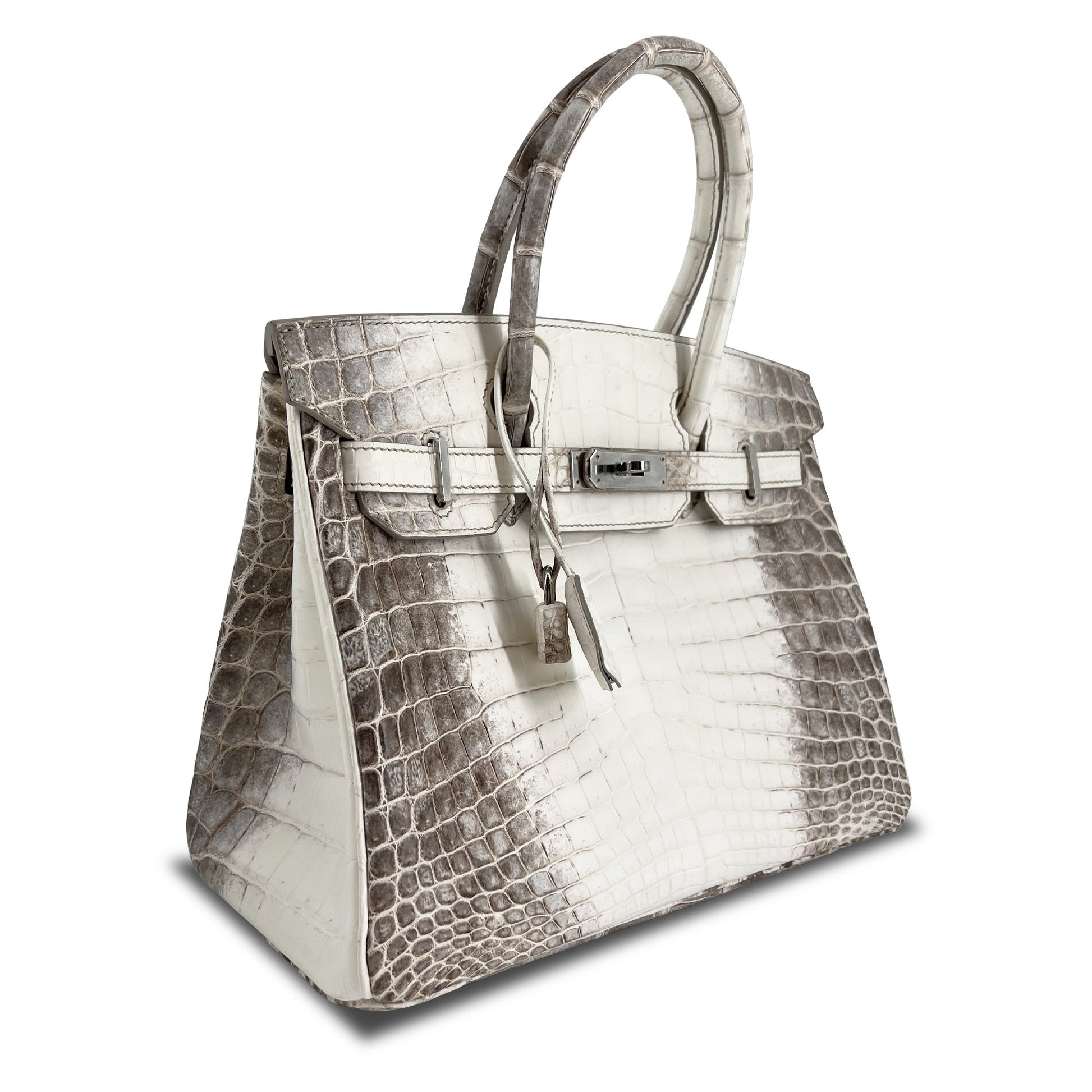 Hermes Top Quality Luxury B Himalaya Niloticus Croco Travel Bag
