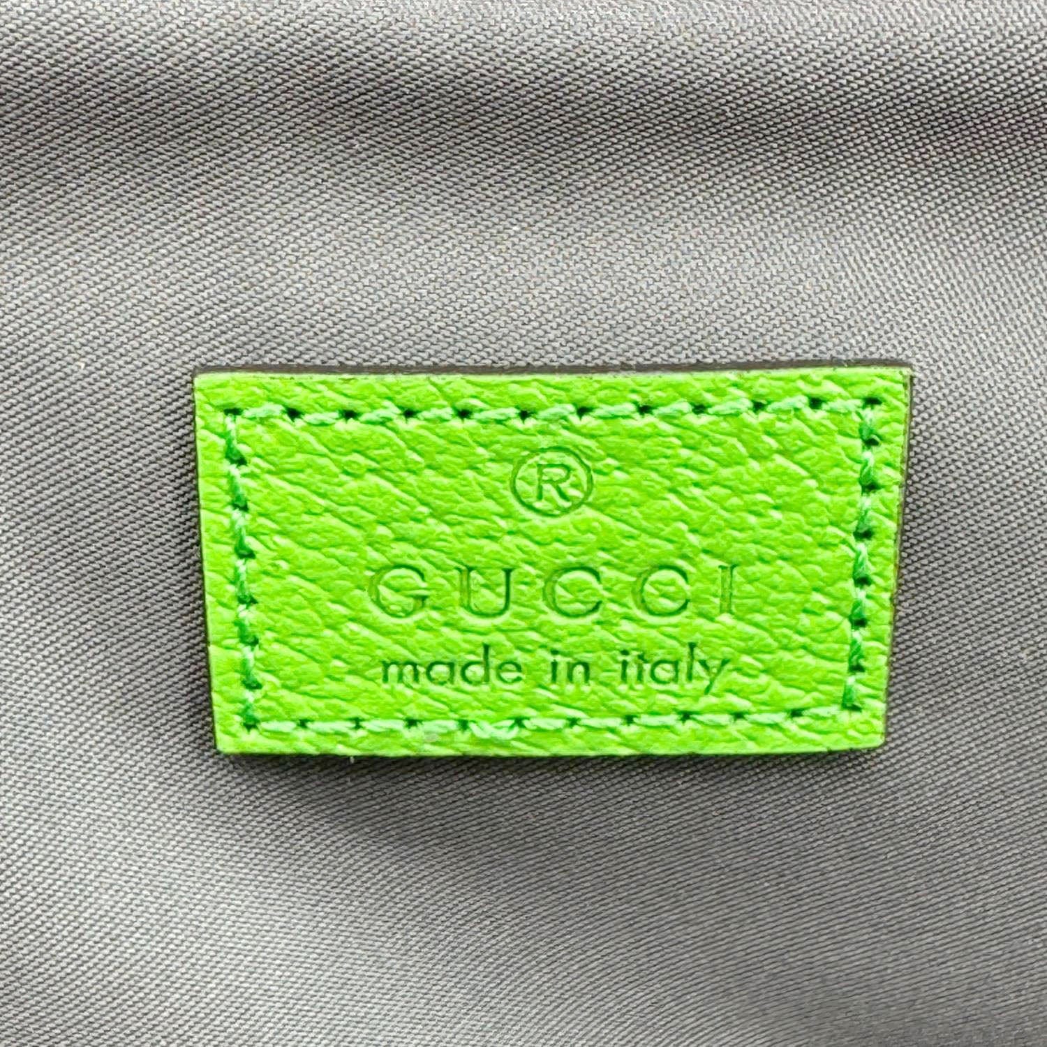 GUCCI Nylon Belt Bag Multicolor 752102