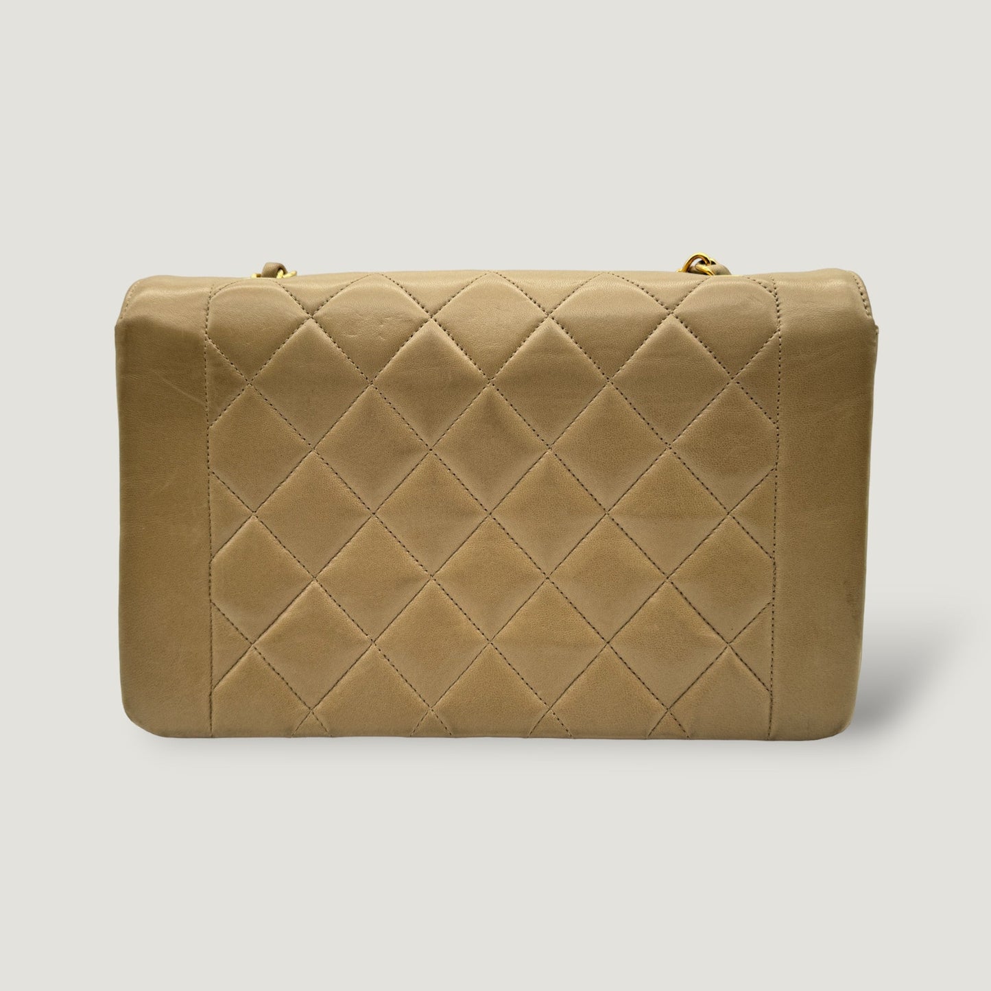 CHANEL DIANA MEDIUM BAG