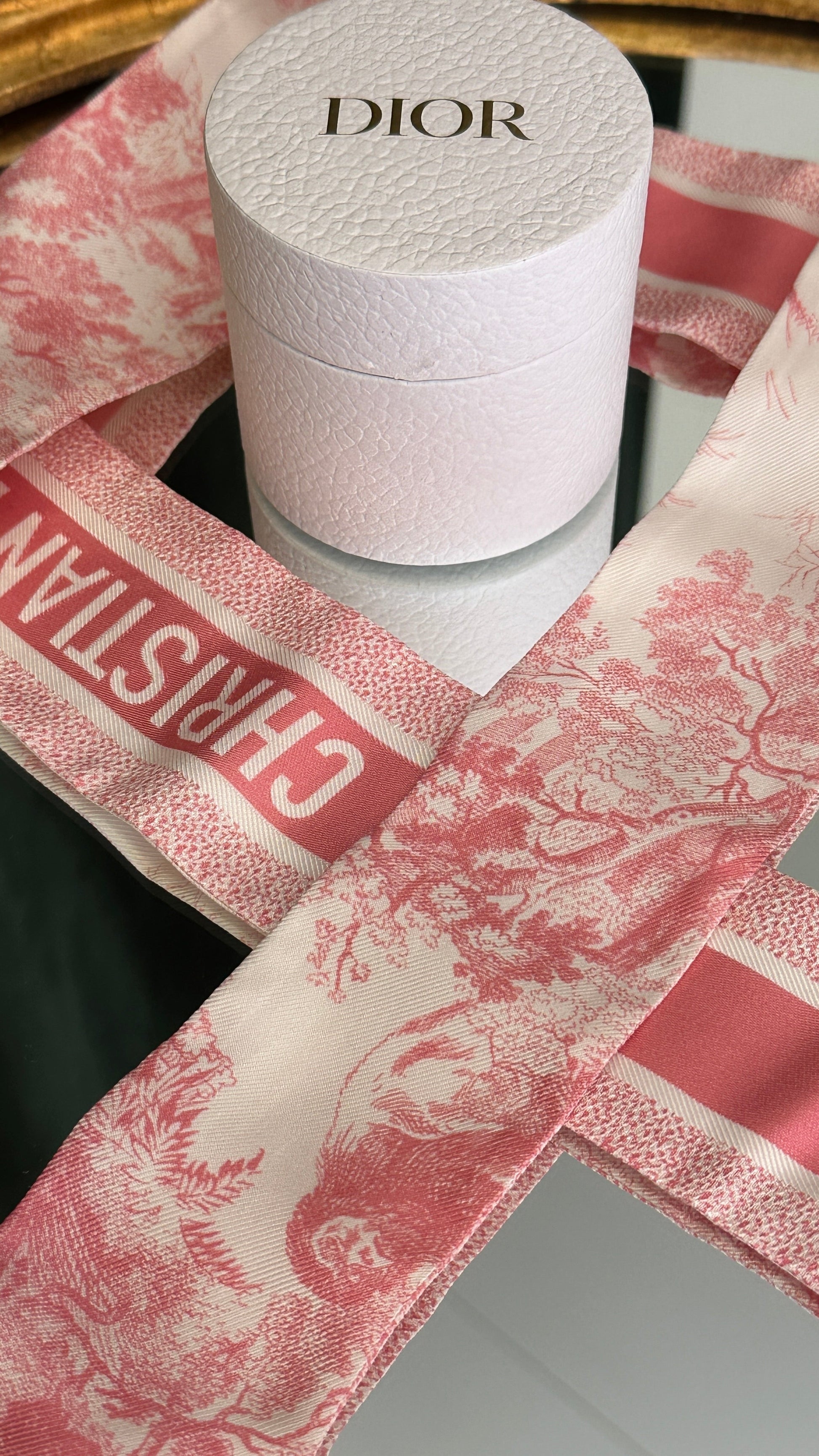 Dior Mitzah Toile De Jouy Pink Scarf