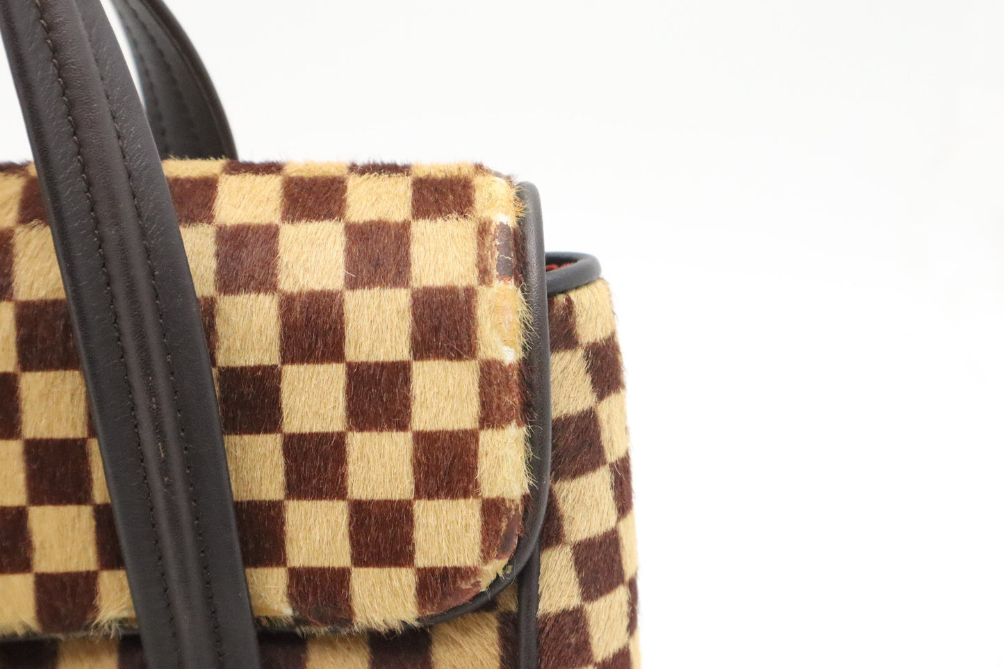 Louis Vuitton Lion Damier Sauvage Handbag