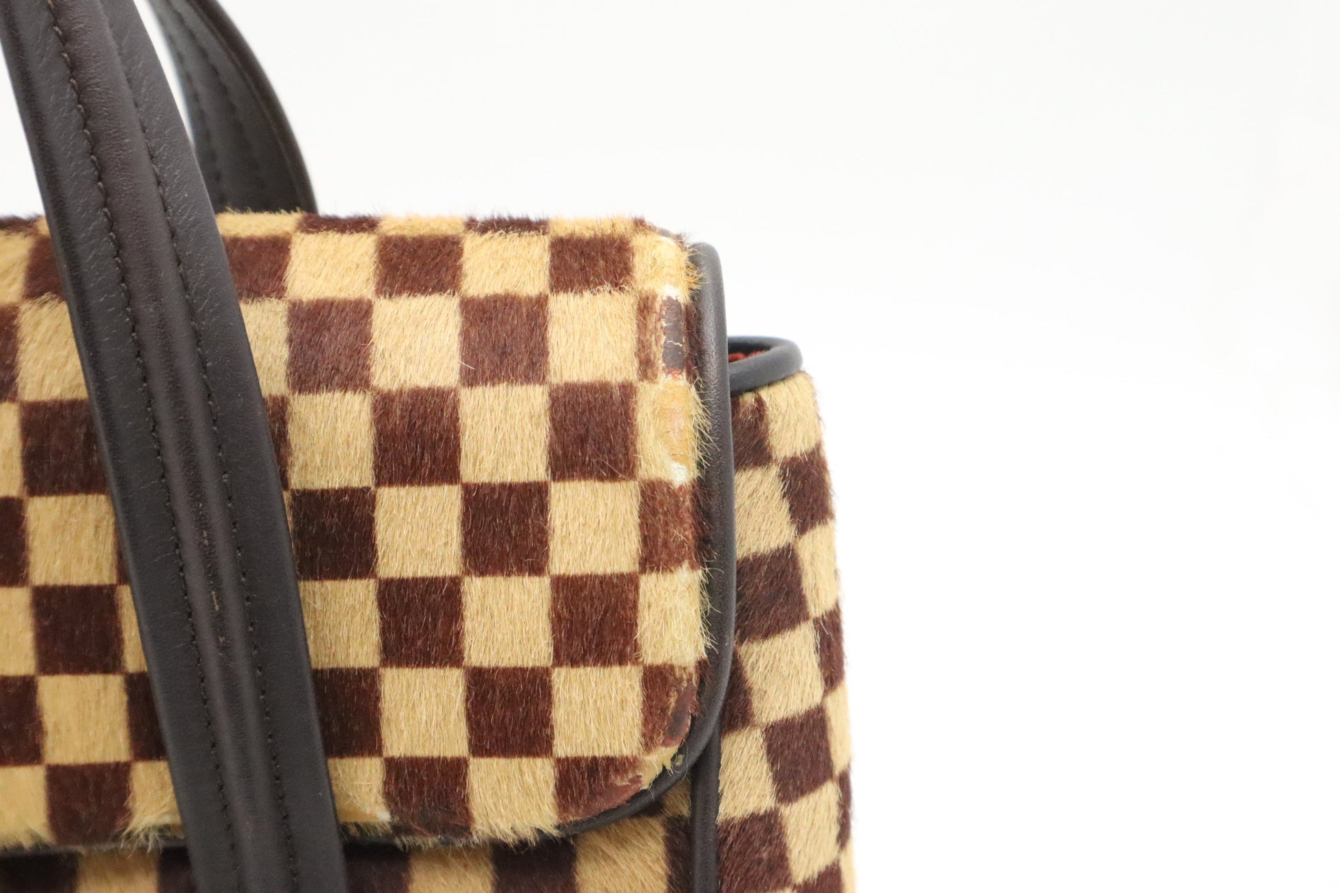 Louis Vuitton Lion Damier Sauvage Handbag