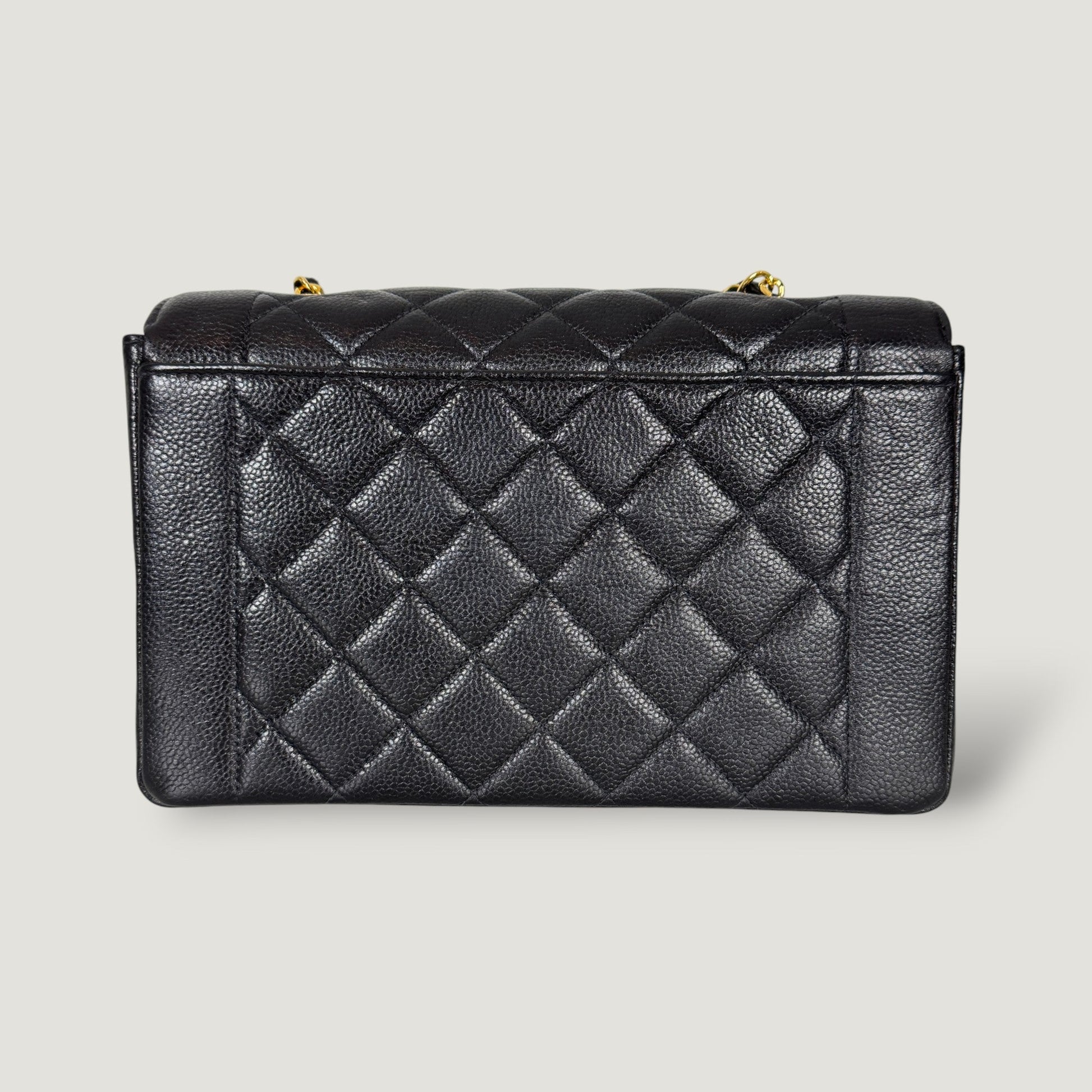 CHANEL DIANA MEDIUM SQUARE BAG
