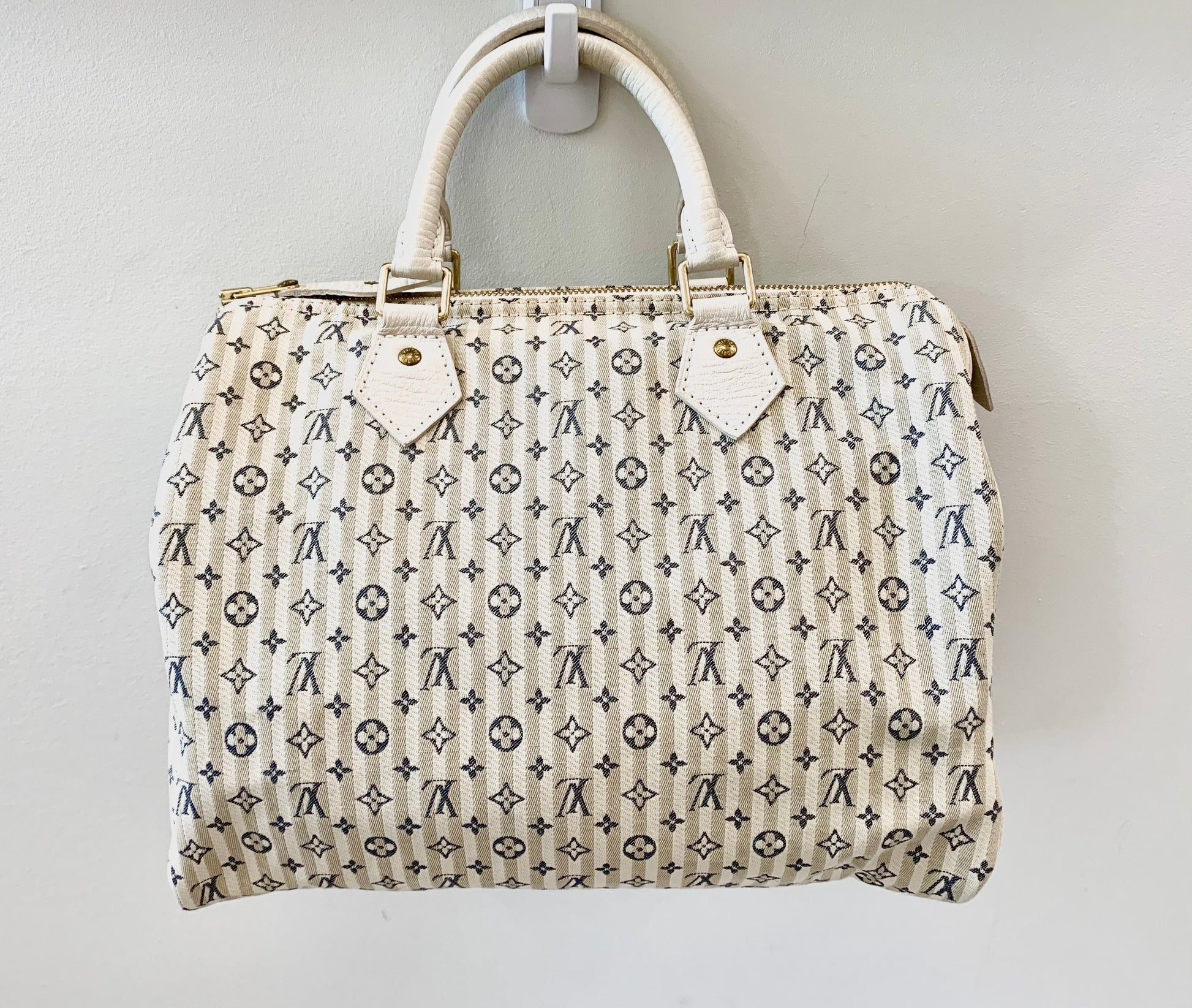 Louis Vuitton LIN SPEEDY 30 Monogram Mini Bag