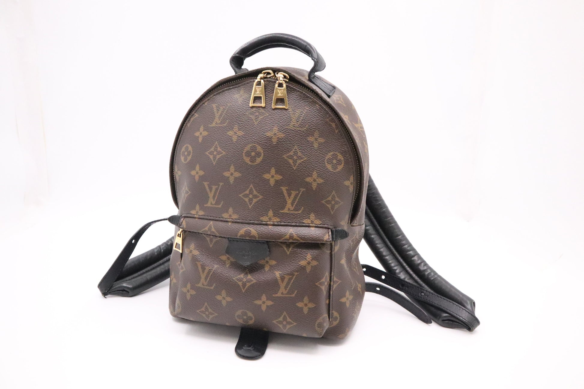 Louis Vuitton Palm Springs PM Monogram Canvas Jewelry