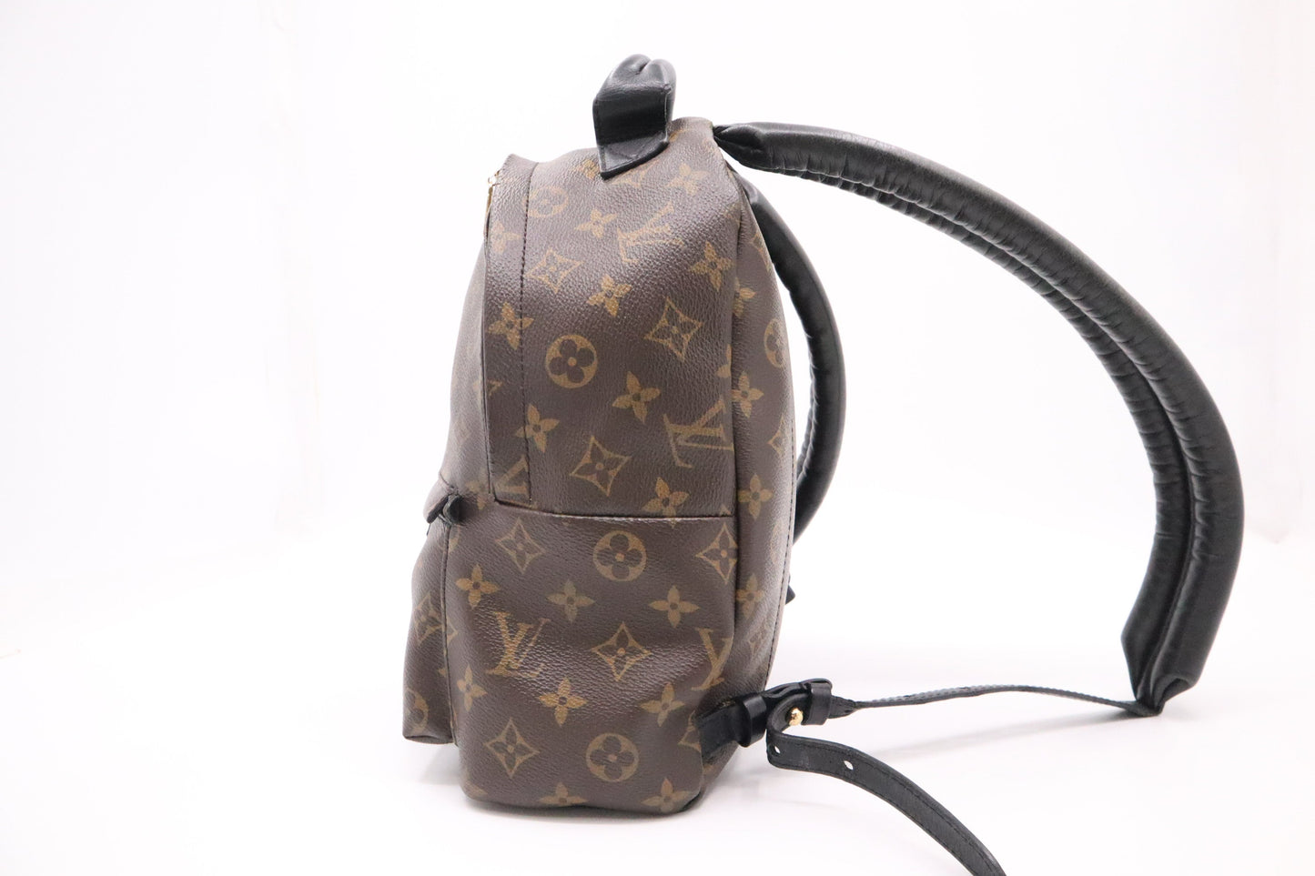 Louis Vuitton Palm Springs PM Monogram Canvas Jewelry