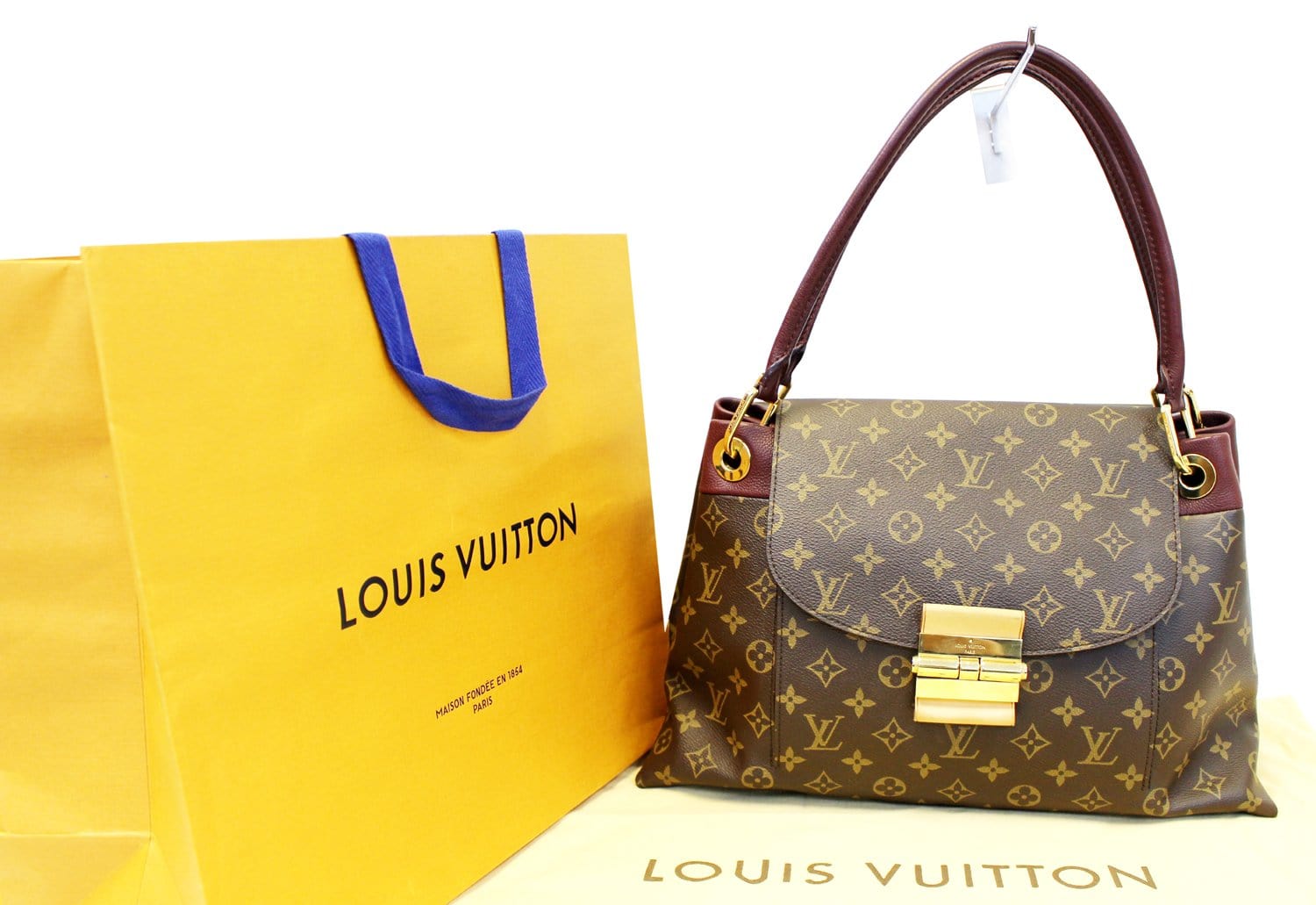 Louis Aurore Olympe Satchel Bag Canvas Monogram Travel Bag