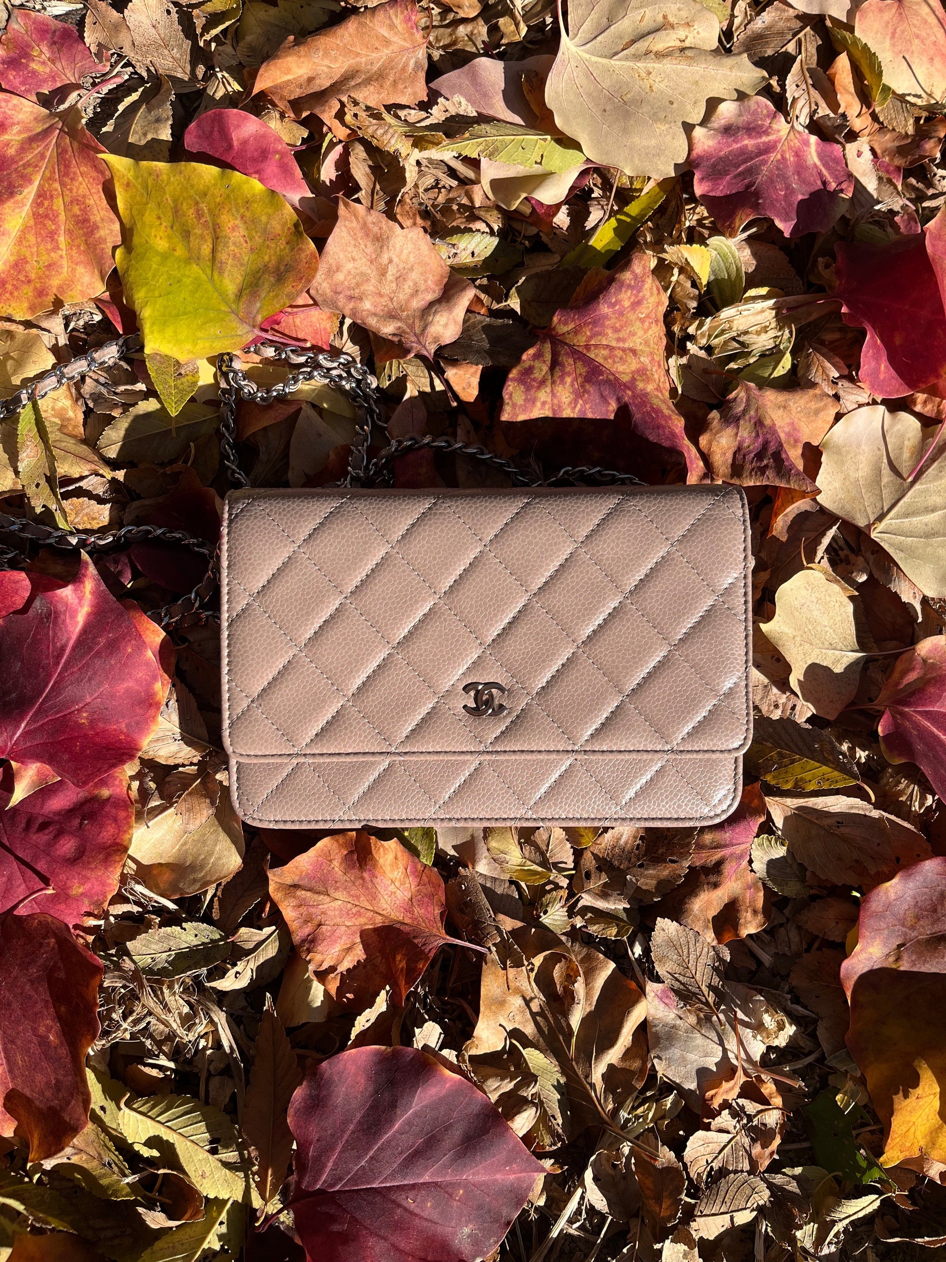 Chanel on WOC hardware Silver Beige Wallet Case