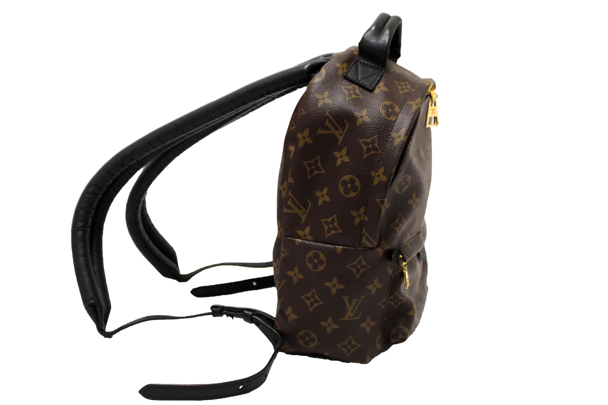 Louis Vuitton Classic Monogram Palm Springs PM Backpack
